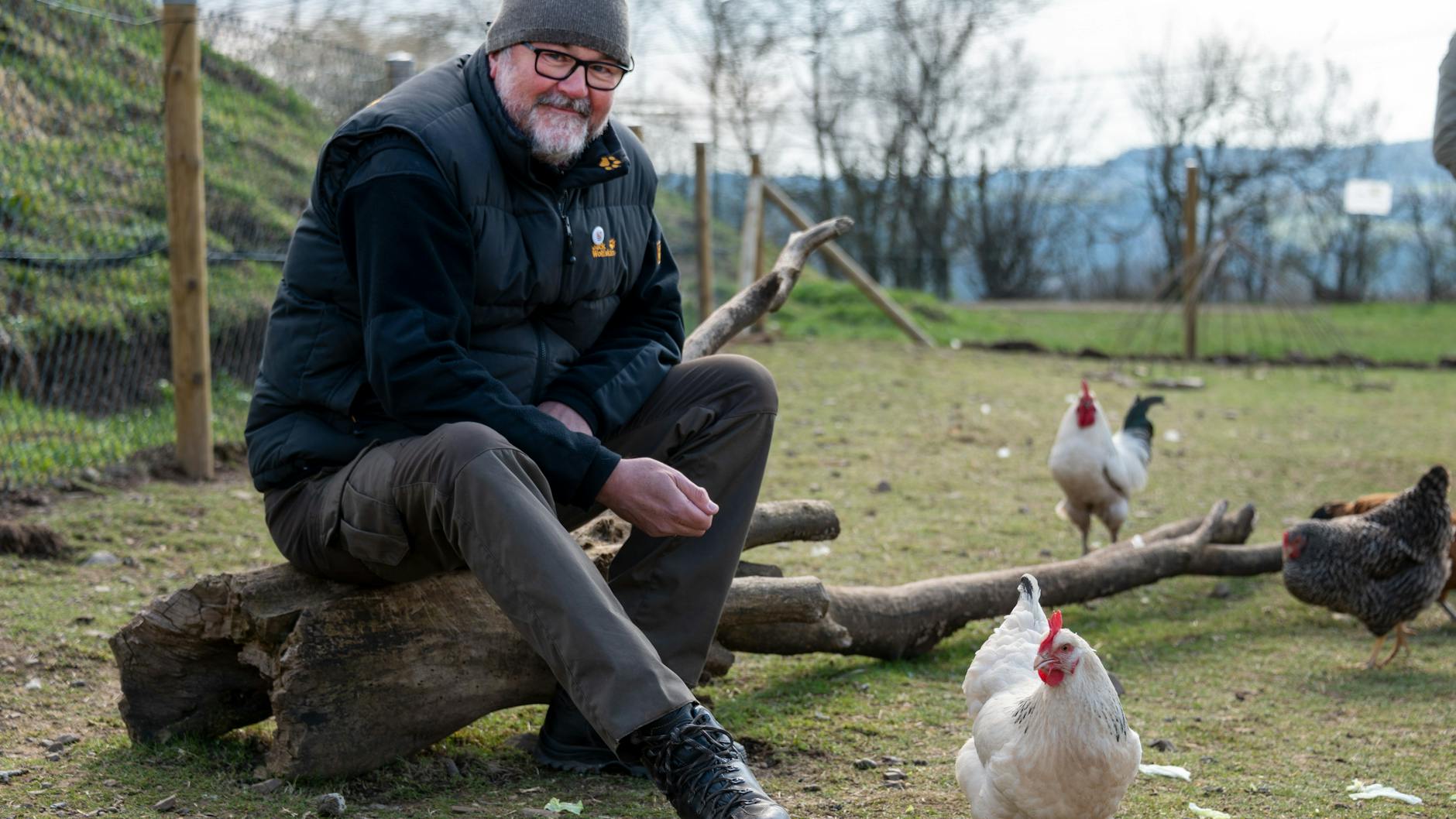 Initiator und Mitglied der Hühnergruppe Jochen Dostal sitzt im Gehege, während die Hühner frei um ihn herumlaufen.