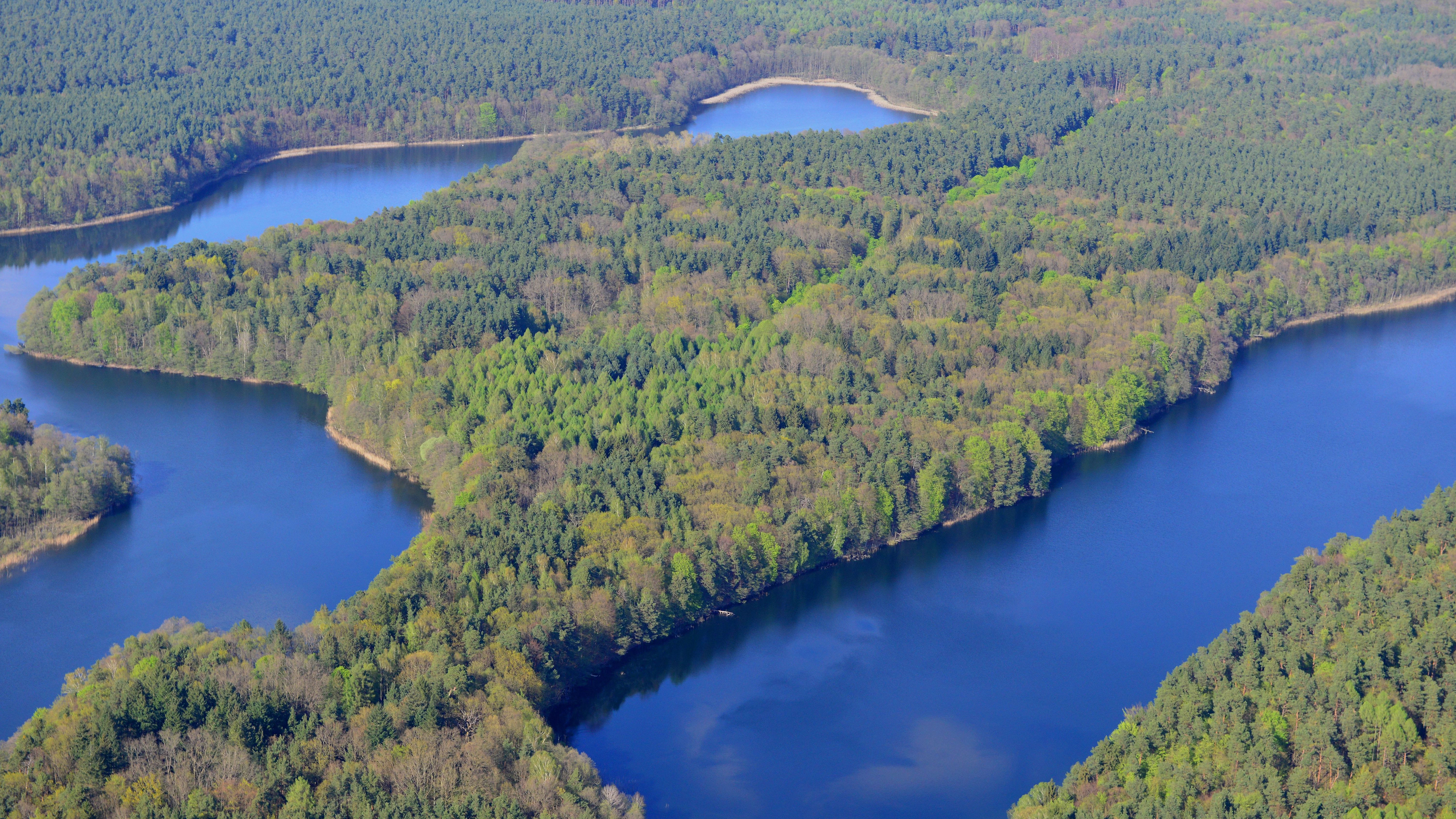 Die Schorfheide, 1990 als Biosphärenreservat unter Schutz gestellt