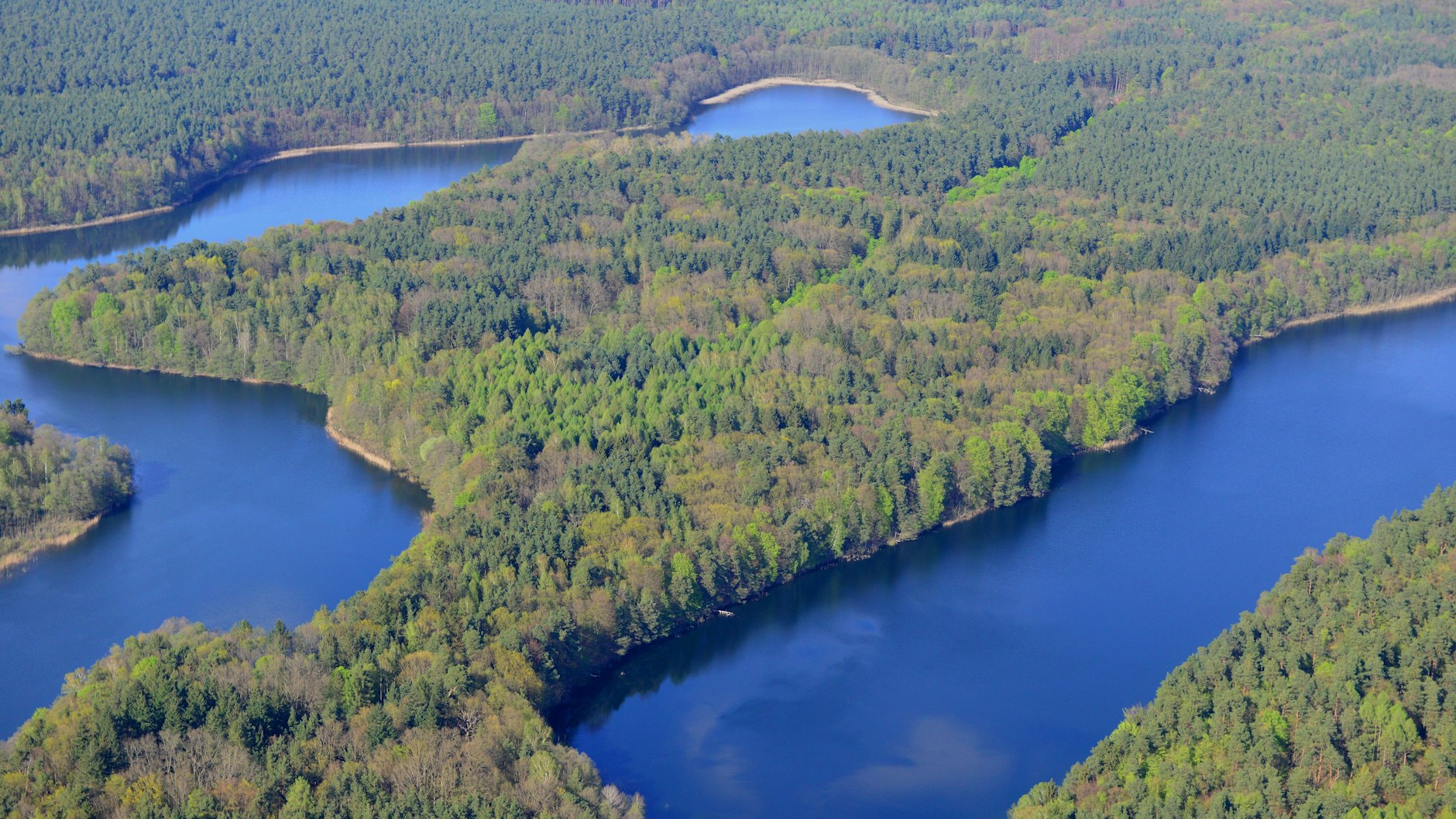 Die Schorfheide, 1990 als Biosphärenreservat unter Schutz gestellt