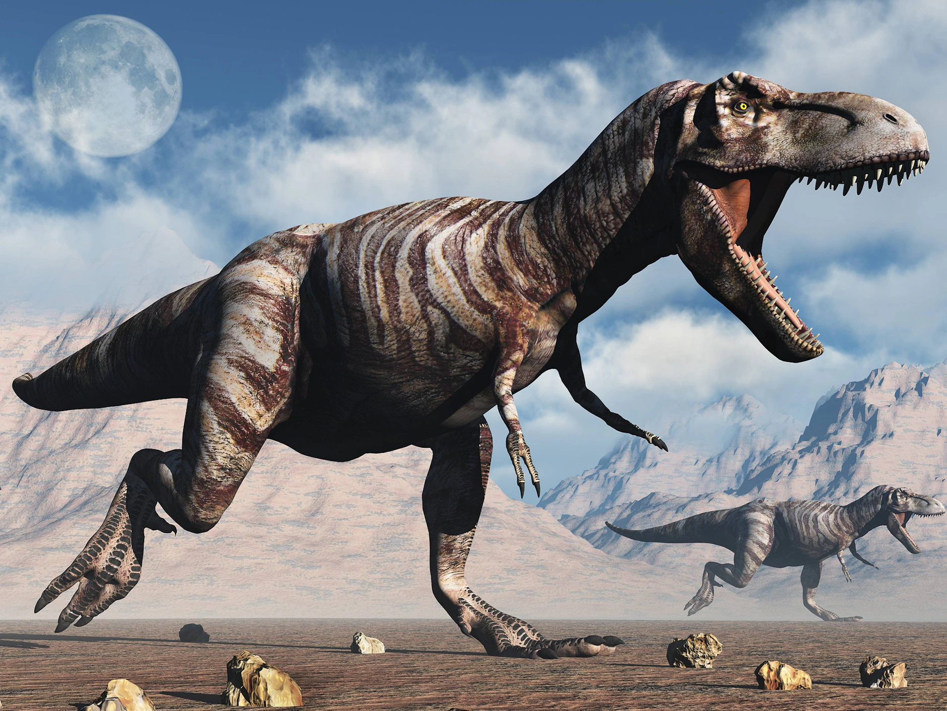Tyrannosaurus Rex Profil Paläontologie: Das Ist Der Ur Opa Des