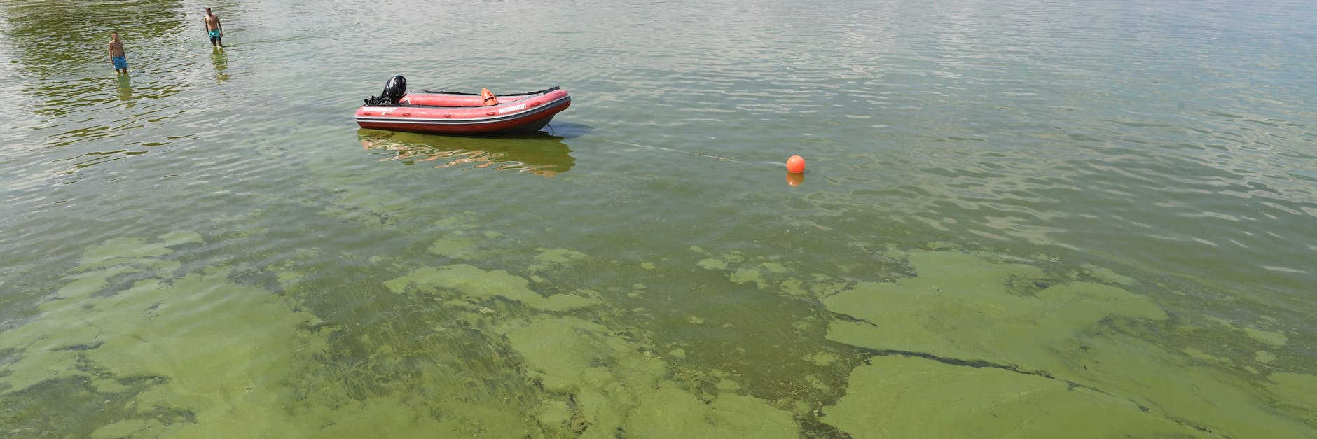 Die warmen Wassertemperaturen führten am Strand von Lubmin (Mecklenburg-Vorpommern) zu einem Wachstum von Grünalgen.