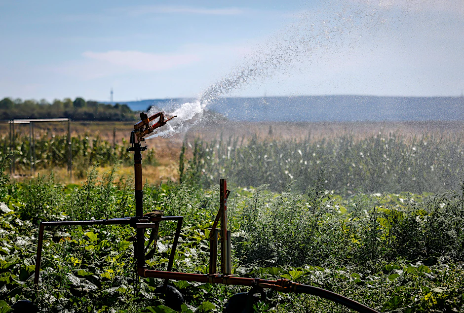 Eine Feld-Bewässerung in Nordrhein-Westfalen im Jahr 2020.