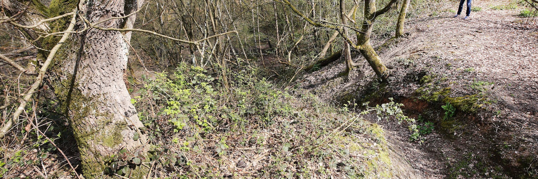 Beim Spielen haben Kinder eine Leiche gefunden (Symbolbild).