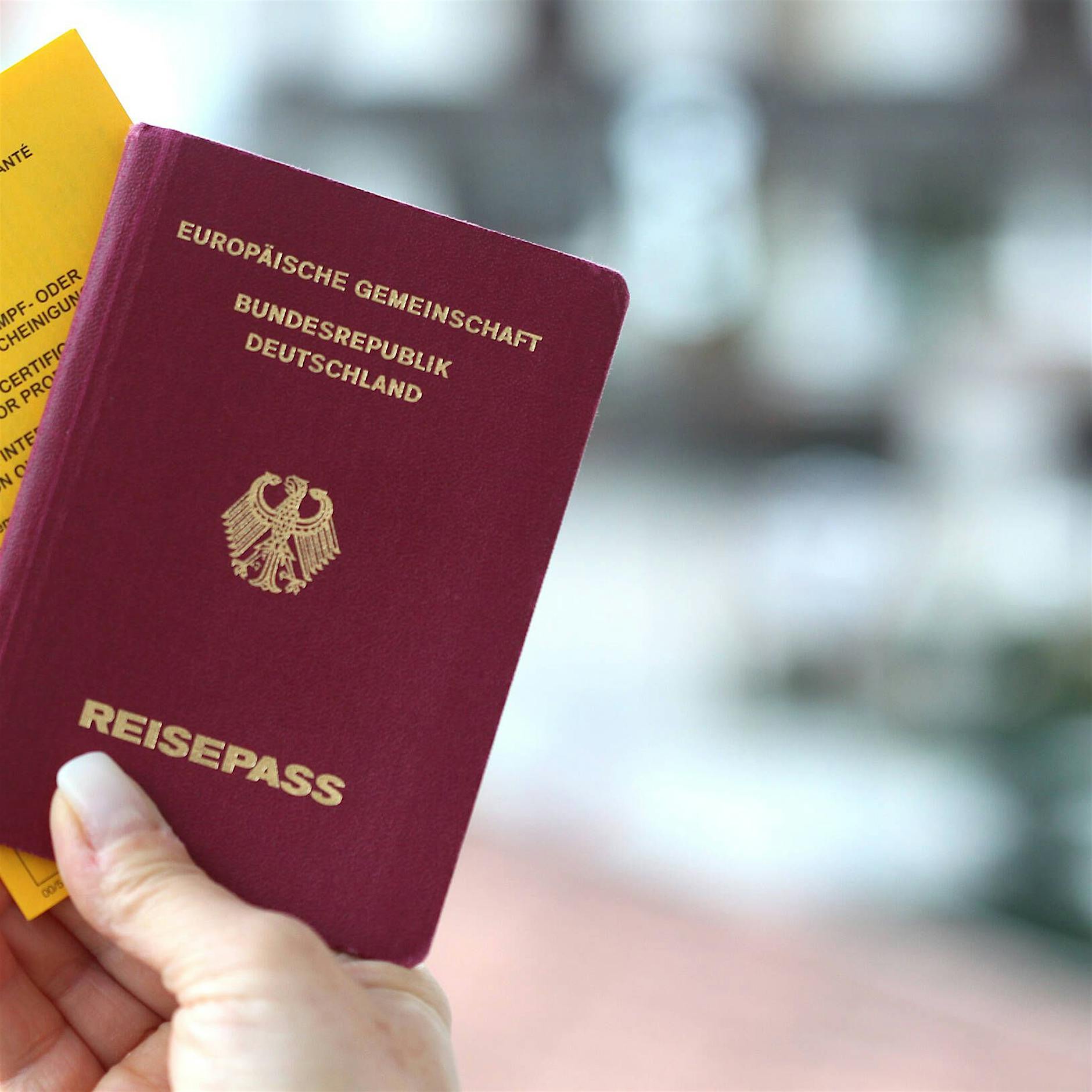 Der Impfpass wird zum Dokument des Jahres