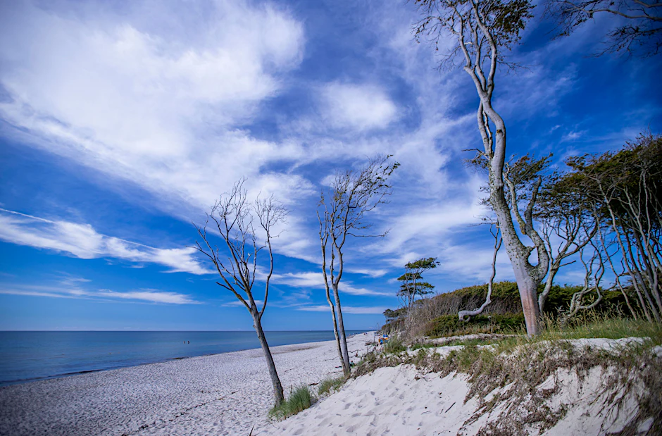 Sehnsuchtsort Darßer Weststrand. Wann endlich wieder Touristen an die Ostsee können, ist weiter offen.&nbsp;