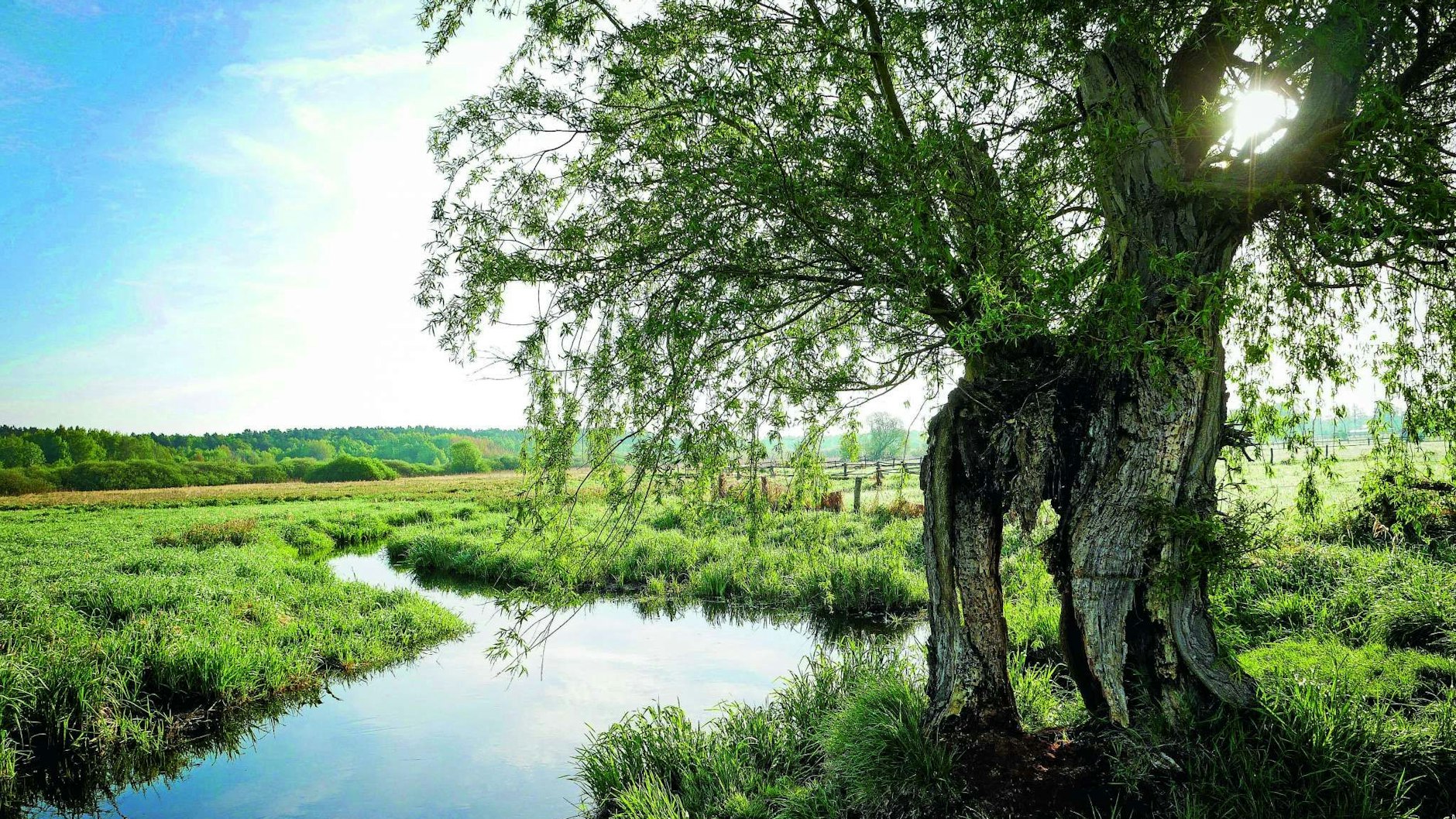 Ein stummer Zeuge der letzten Eiszeit ist das Tegeler Fließ, das sich vom Summter und dem Mühlenbecker See über Lübars bis zum Tegeler See schlängelt.