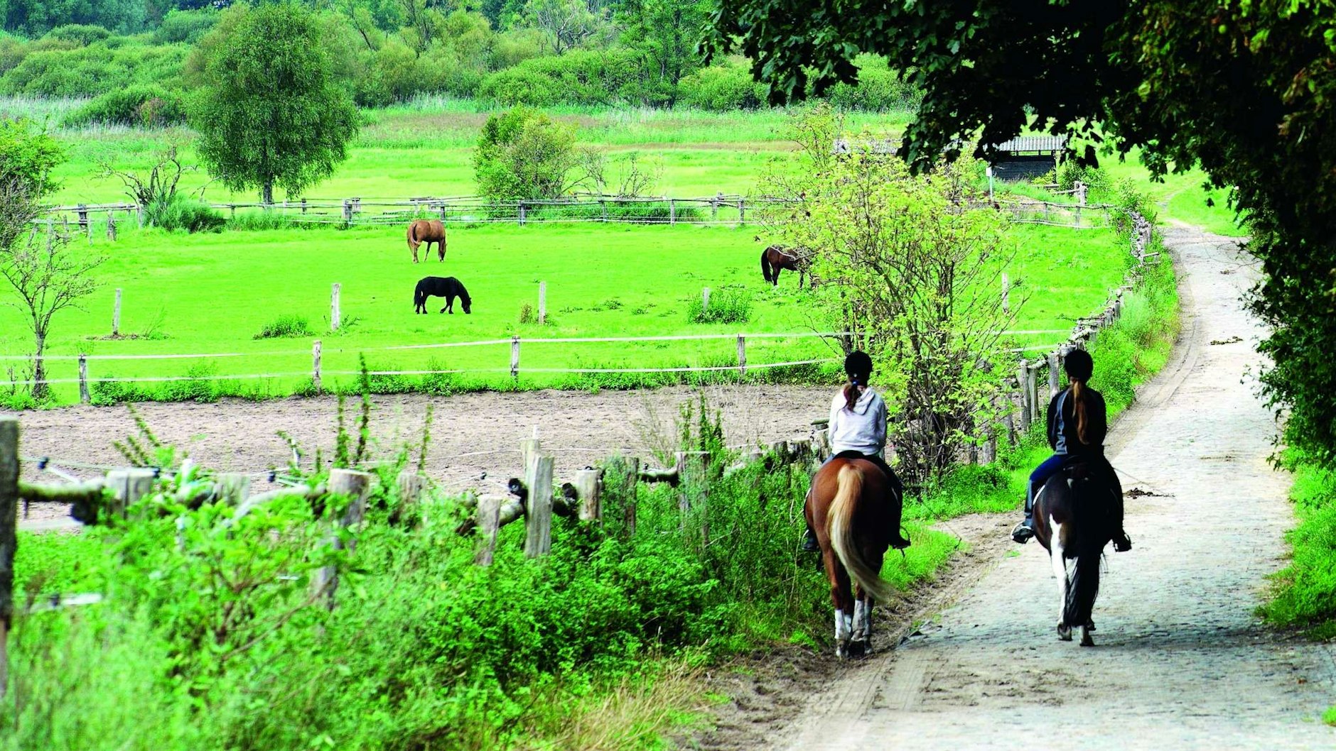 Außer Spaziergängern, Wanderern und Radfahrern wissen auch Reiter die Natur um Lübars zu schätzen. 
