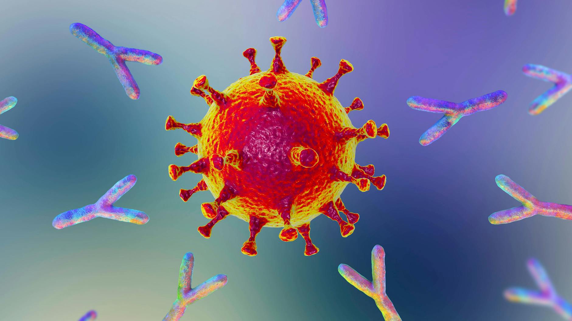 Y-förmige Antikörper und das Coronavirus Sars-CoV-2 in einer Illustration.