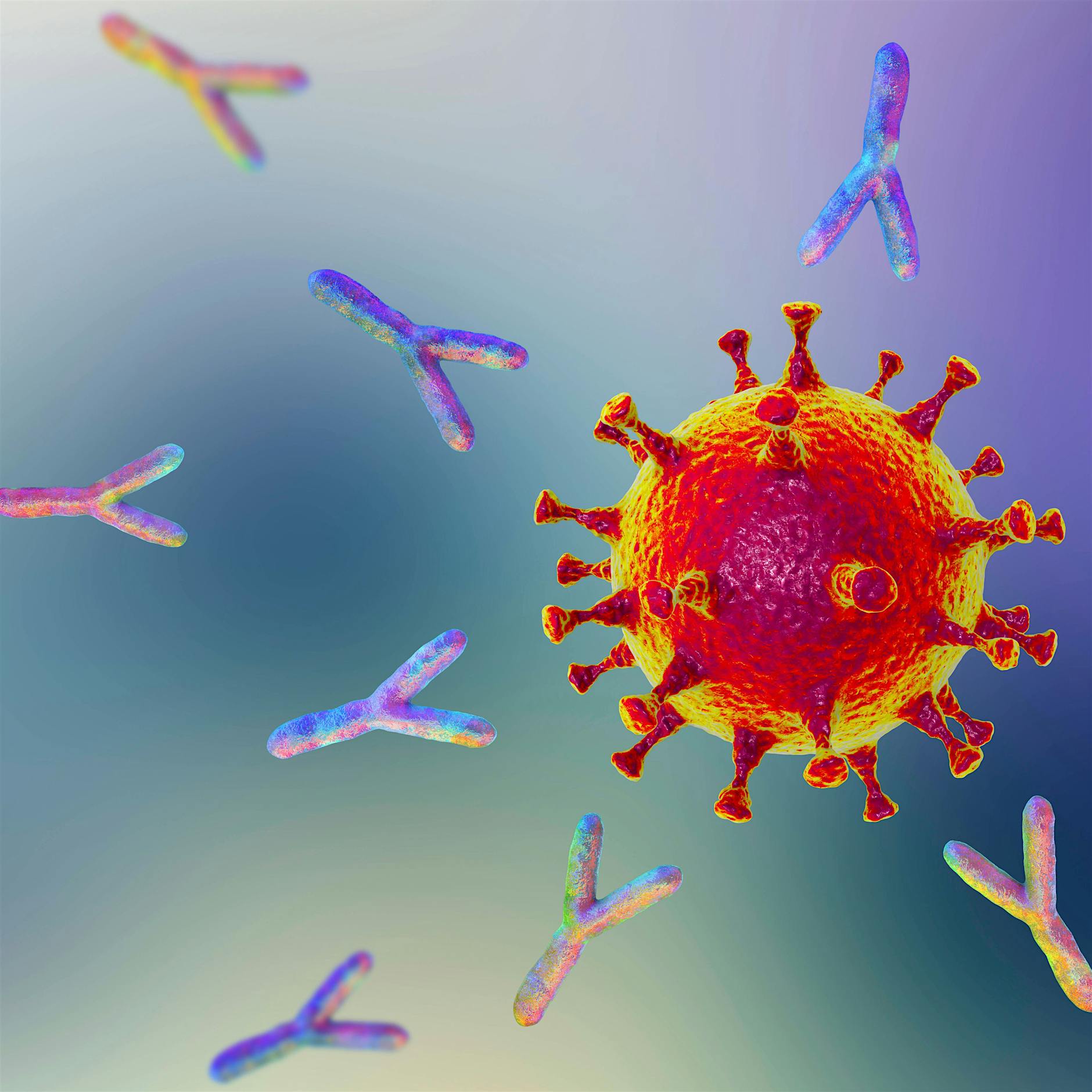 Von Boosts und B-Zellen: Wie die zweite Impfdosis den Covid-Schutz optimiert