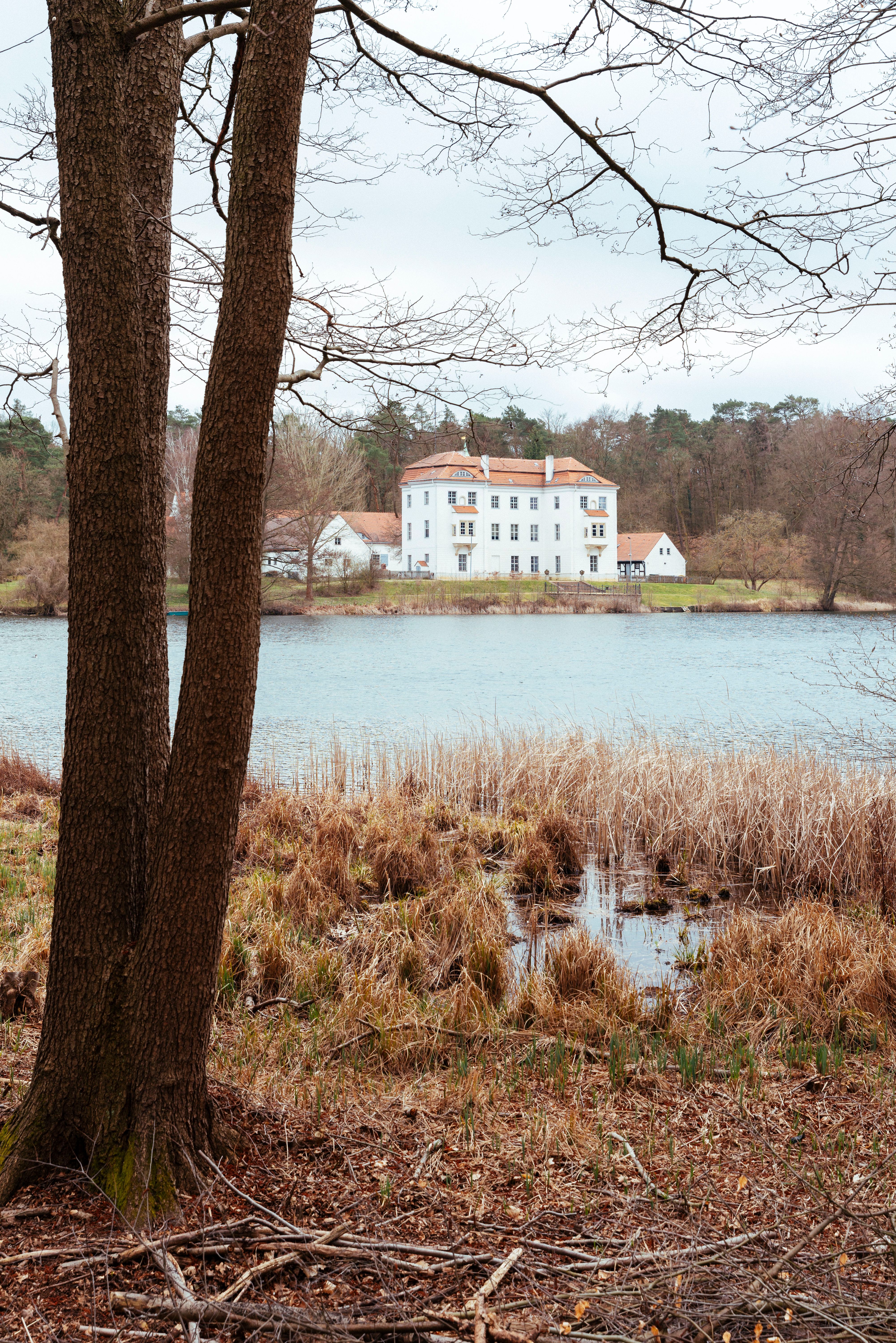 Hunde, Wildschweine und Sex mit Seeblick. Lust auf einen Spaziergang?