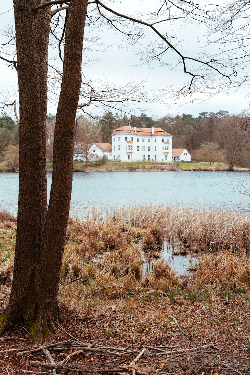 Hunde, Wildschweine und Sex mit Seeblick. Lust auf einen Spaziergang?