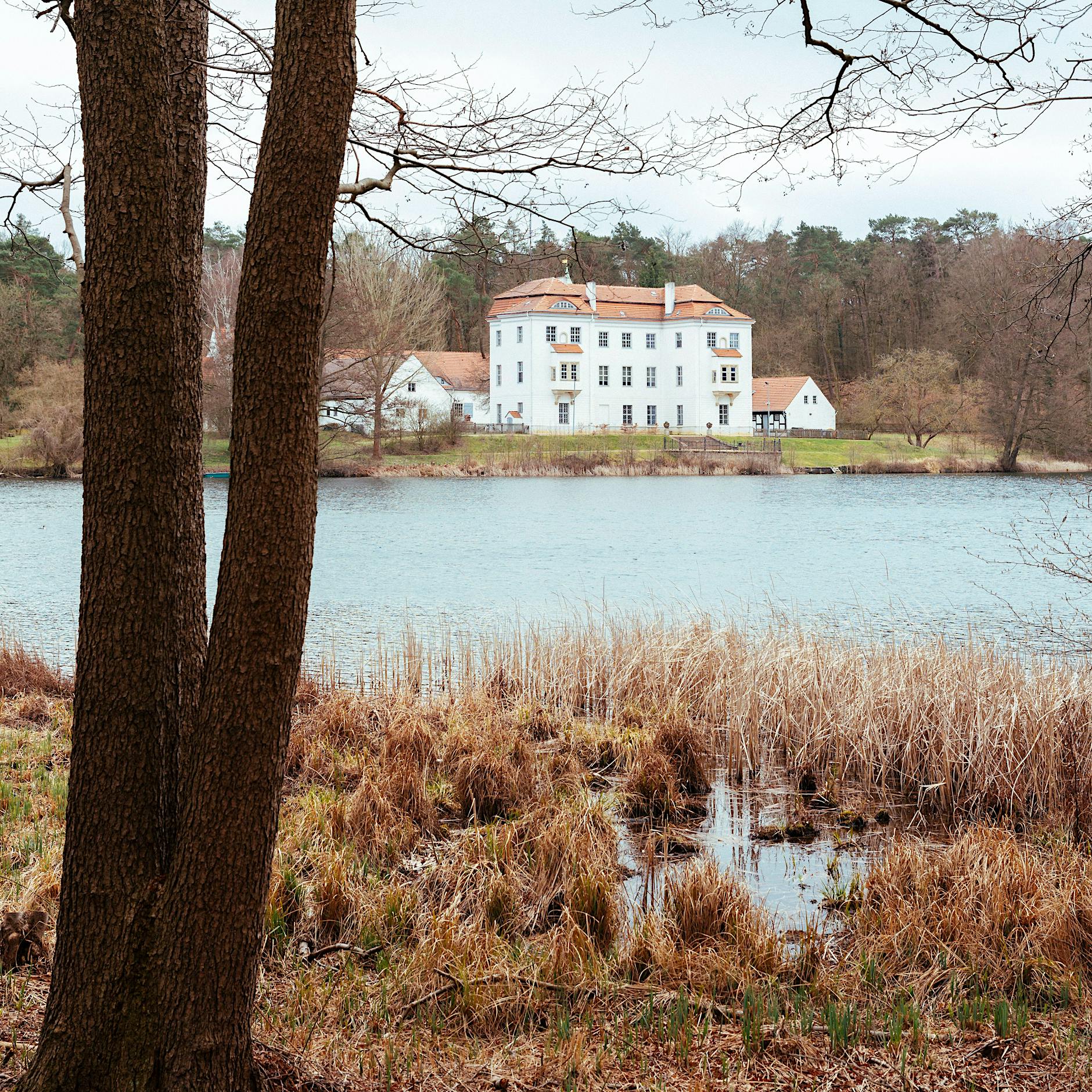 Hunde, Wildschweine und Sex mit Seeblick. Lust auf einen Spaziergang?