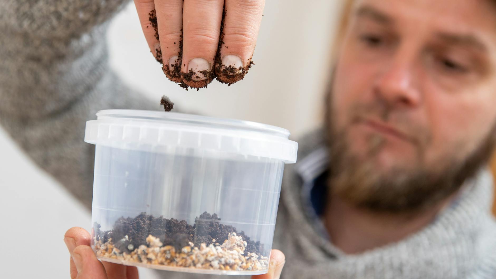 Ralph Haydl aus Nürnberg züchtet Austernseitlinge. Seine Sets kann man auch kaufen.