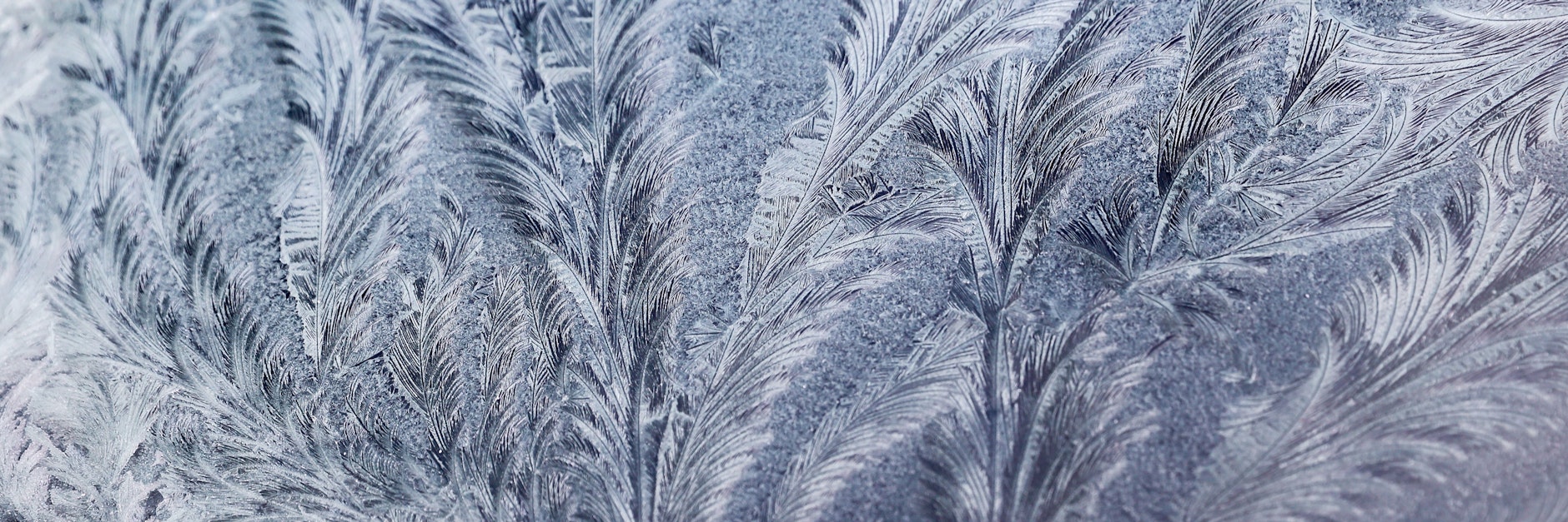 Eisblumen haben sich in einer frostigen Nacht auf der Frontscheibe eines Autos gebildet.