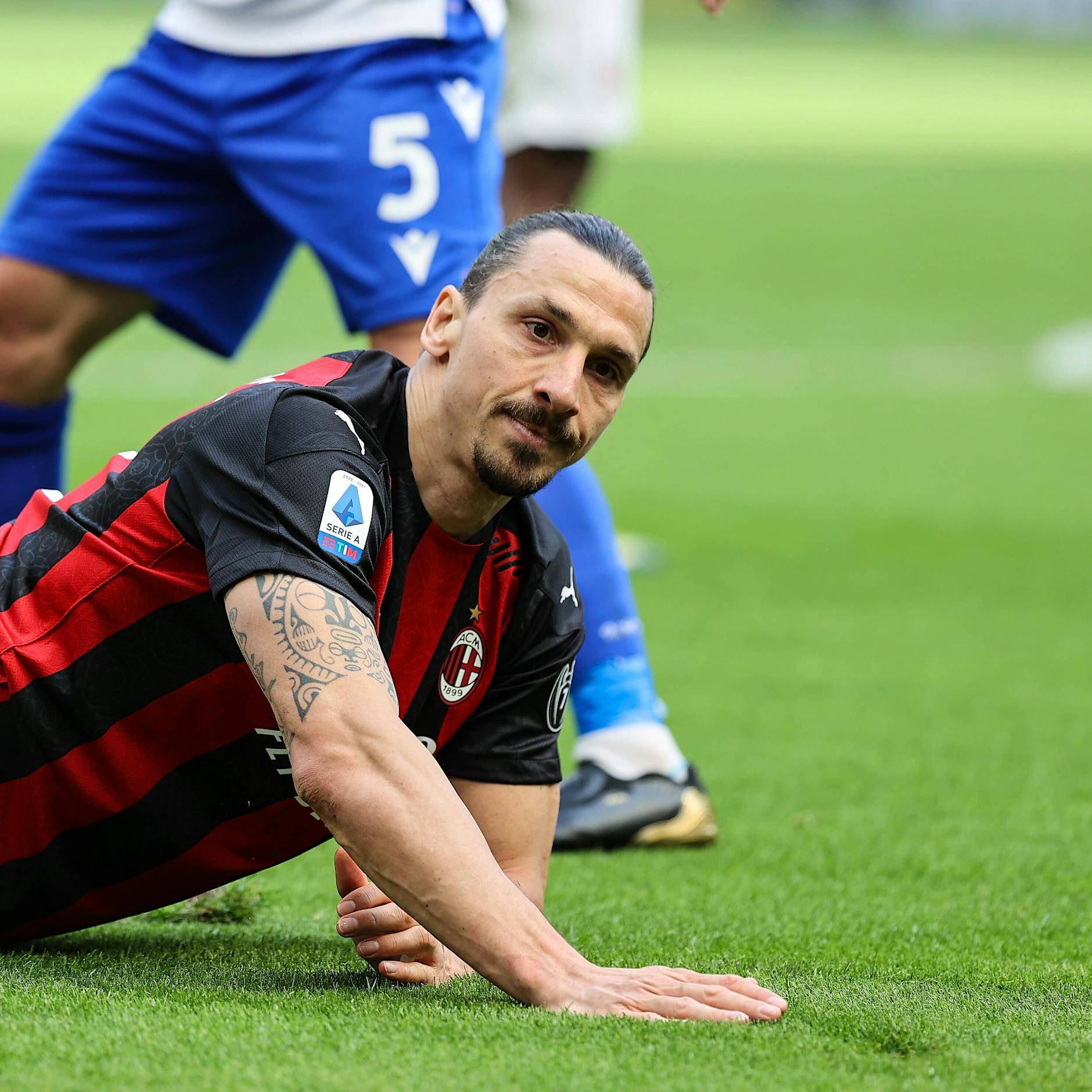 Ärger für Zlatan: Ibrahimovic soll Löwen getötet und nach Schweden importiert haben