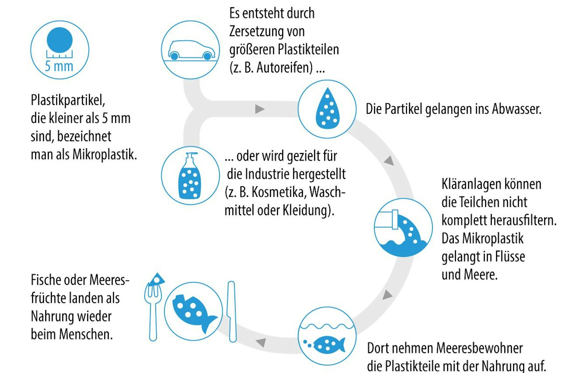 &nbsp;Der Kreislauf des Mikroplastiks