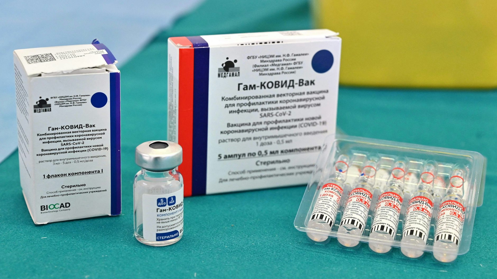 In Europa wird derzeit über den Einsatz des russischen Corona-Impfstoffs Sputnik V diskutiert.&nbsp;