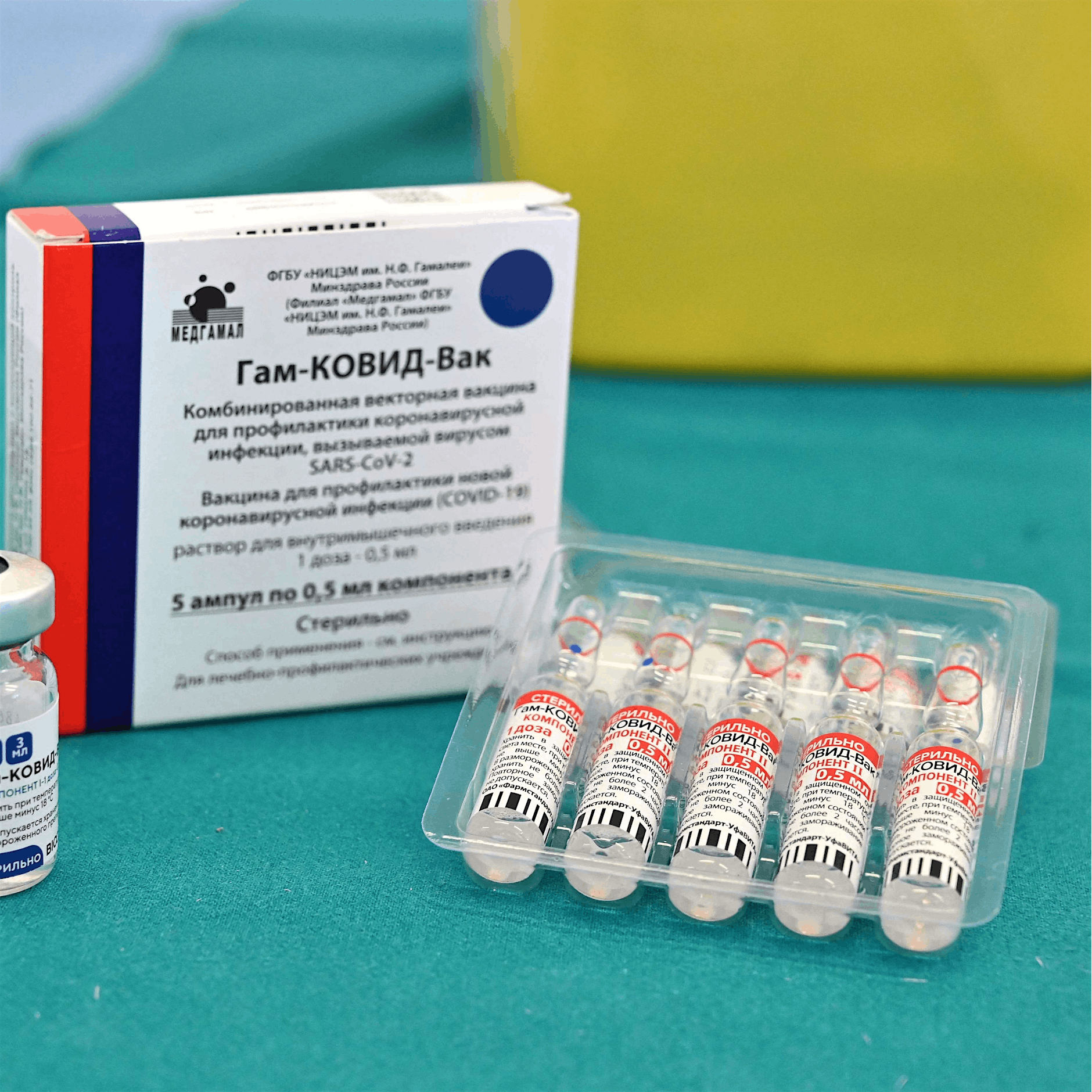 Sputnik V: Wie der Impfstoff wirkt und welche Kritik es an ihm gibt