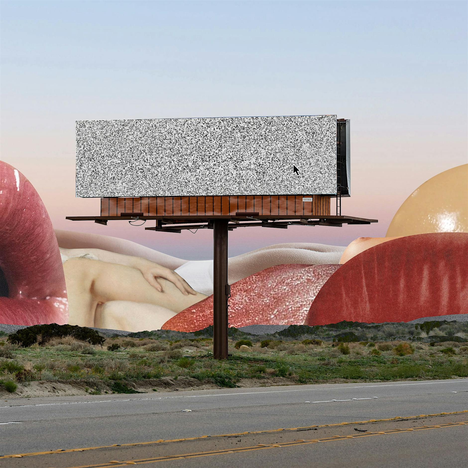 Gender-Professorin Bernadette Barton: Pornos führen zu Erektionsstörungen