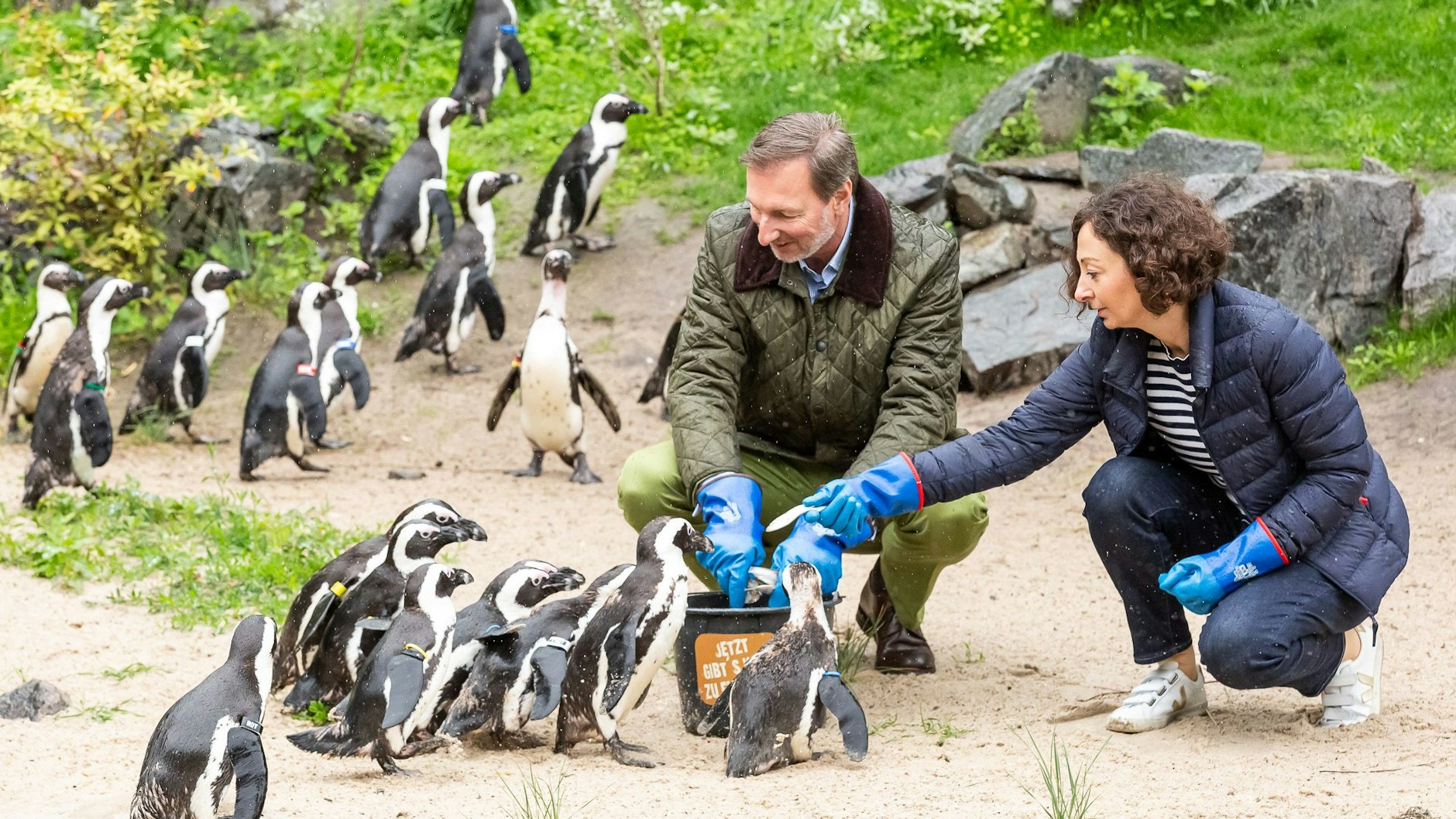 Wirtschaftssenatorin Ramona Pop und Direktor Andreas Knieriem bei der Eröffnung der Pinguin-Anlage im Tierpark. Mit Geldern des Landes wird der Bau neuer Tiergehege gefördert. 