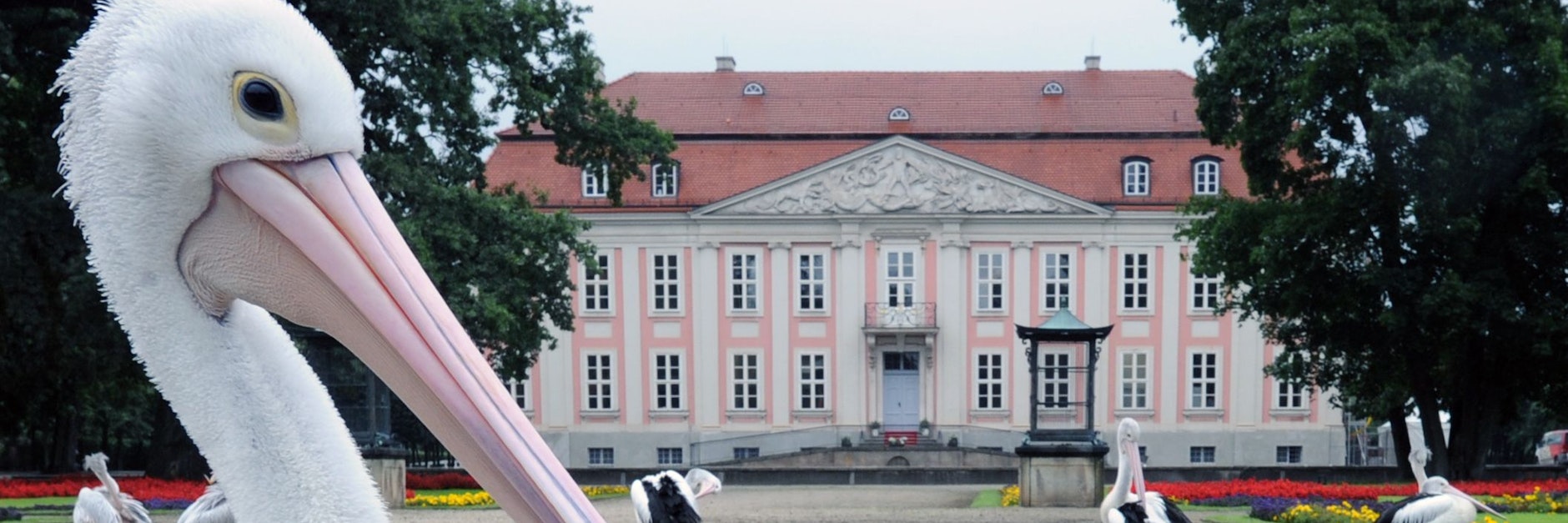 Der Tierpark Berlin mit dem Schloss Friedrichsfelde: Trotz Corona werden in dem Tierparadies neue Projekte gemeistert.