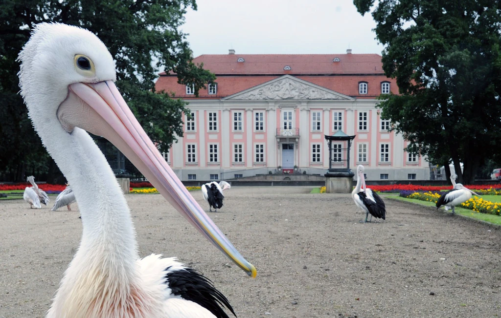 So trotzen Zoo und Tierpark der Corona-Krise
