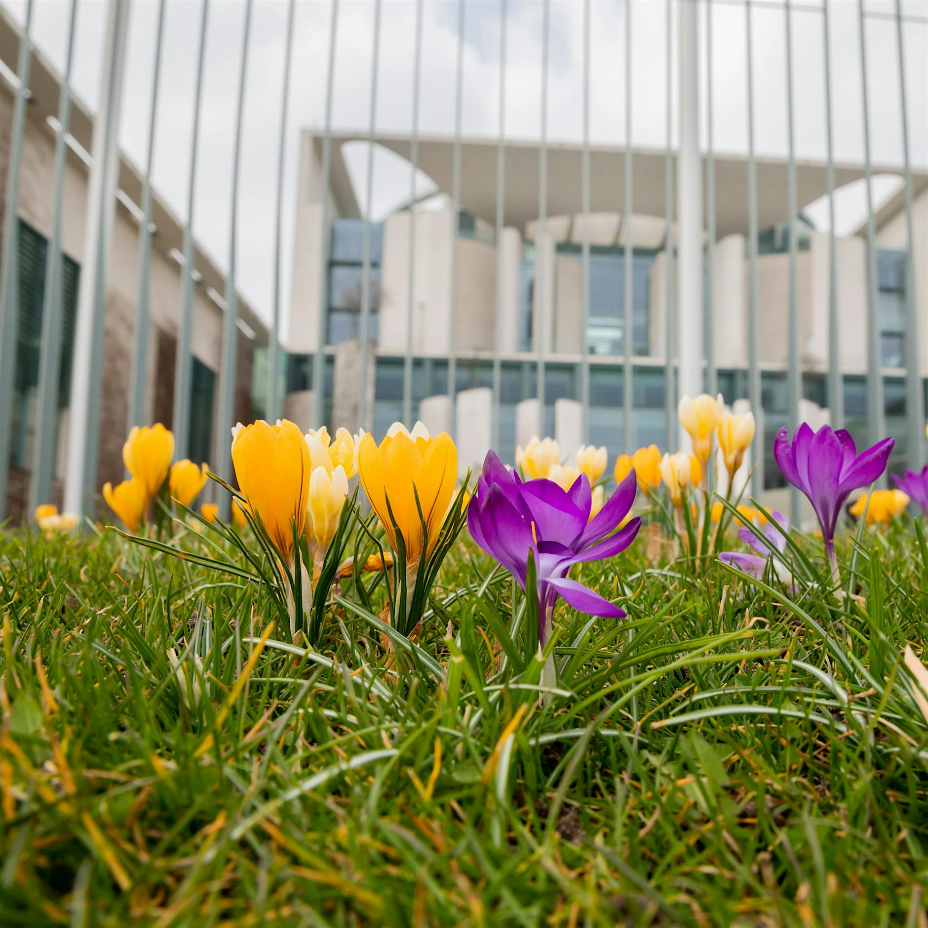 Berlin und Brandenburg: Am Wochenende wird es wärmer