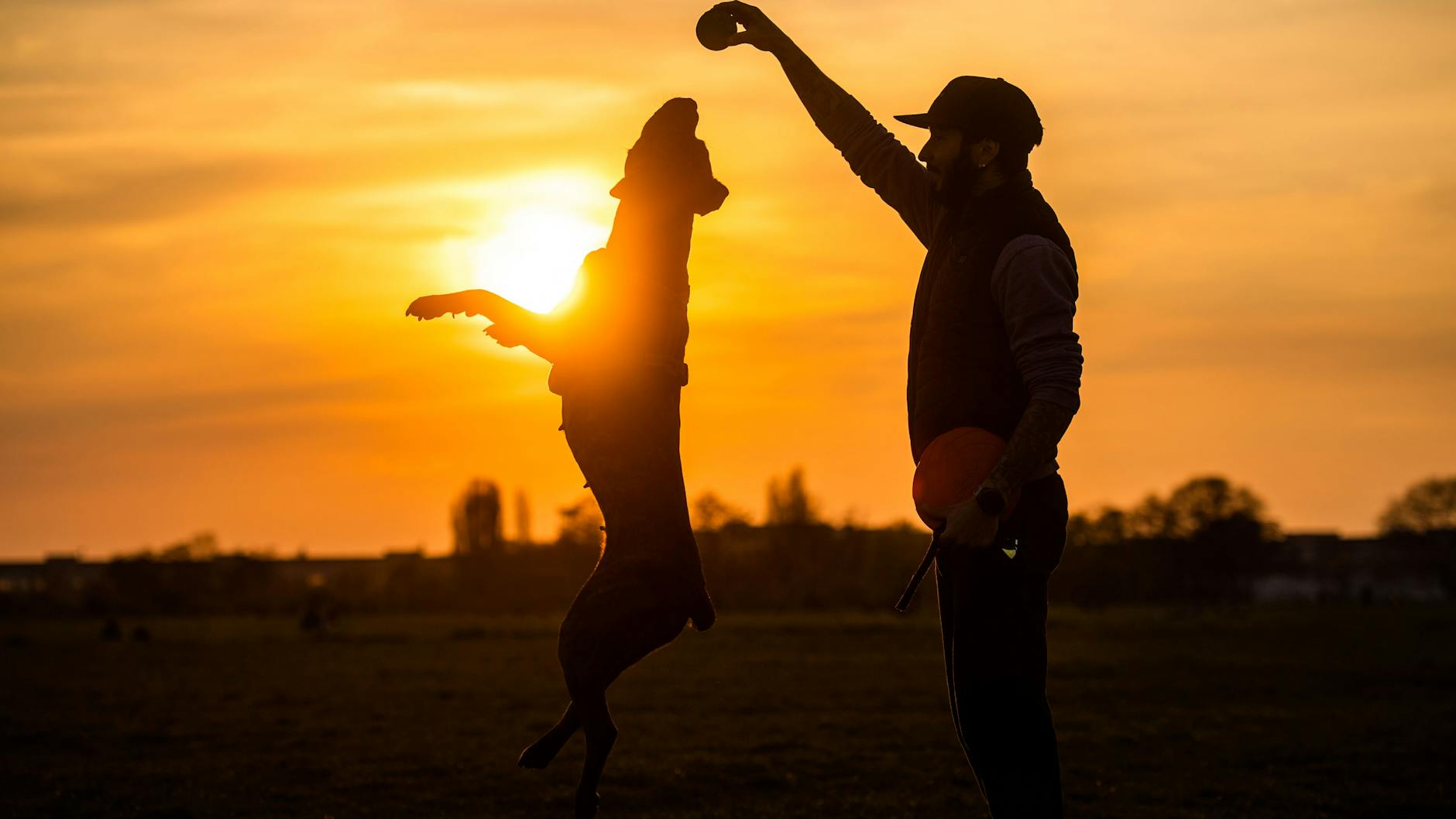 Die Berliner dürfen sich ab nächste Woche auf wärmere Temperaturen freuen.