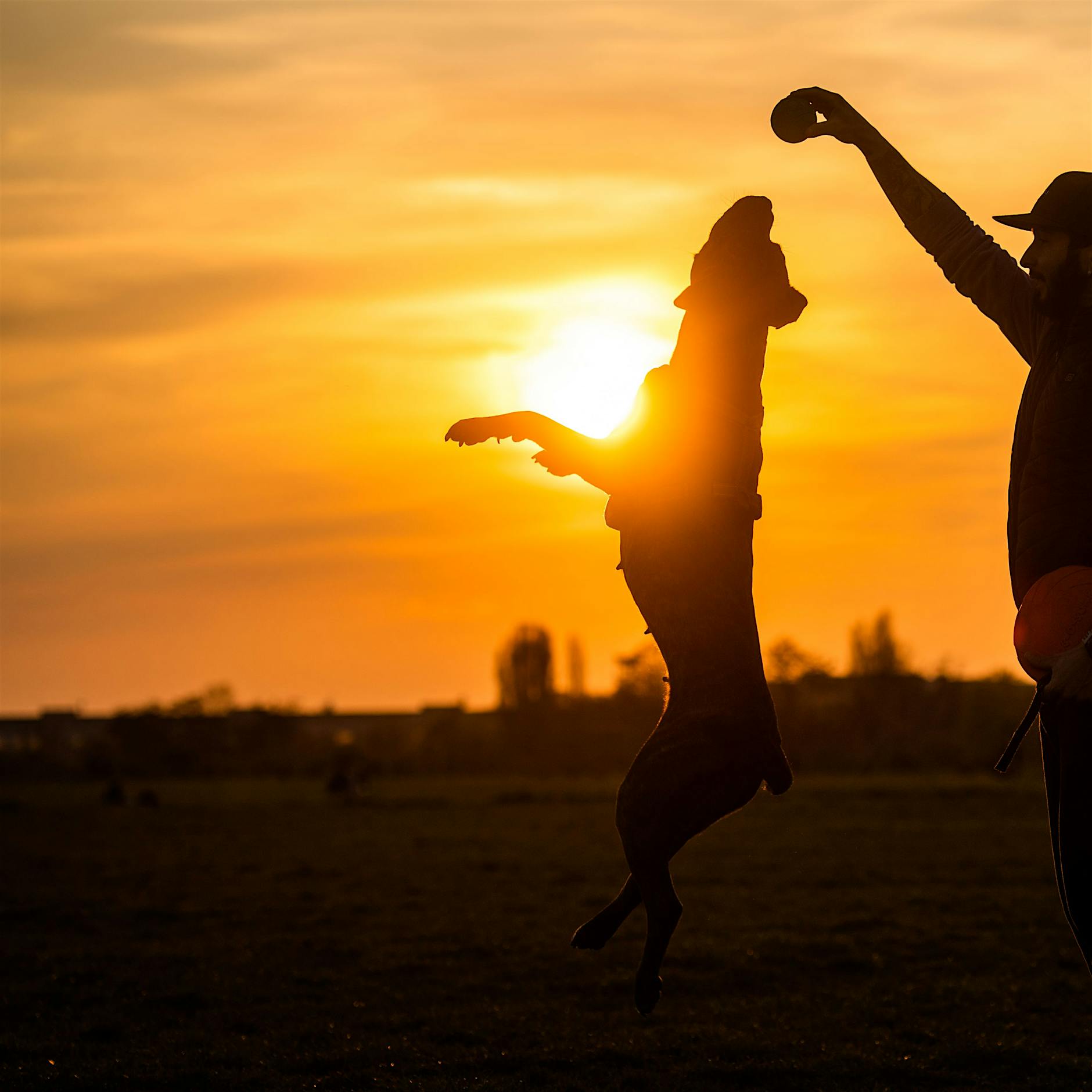 Hitzewelle rollt auf Deutschland zu: Nächste Woche bis zu 30 Grad