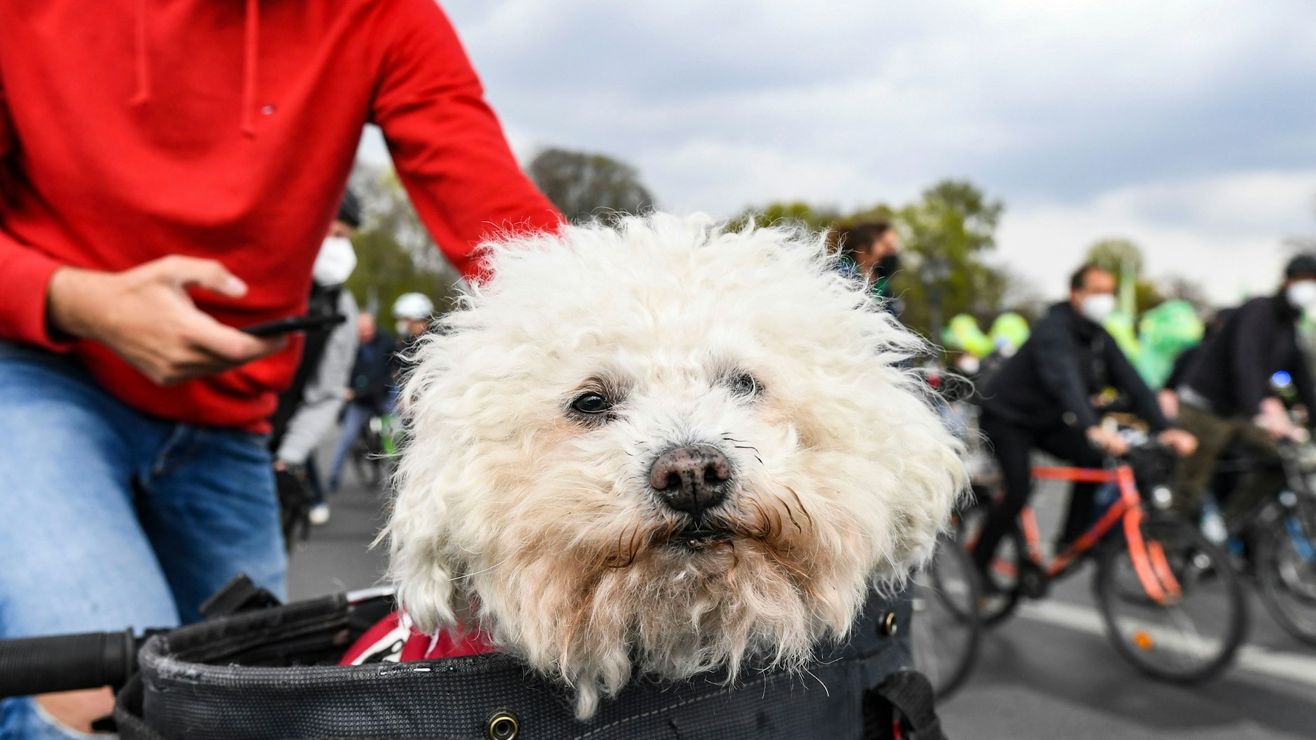 Auch dieser süße Hund durfte mit zur Demo.