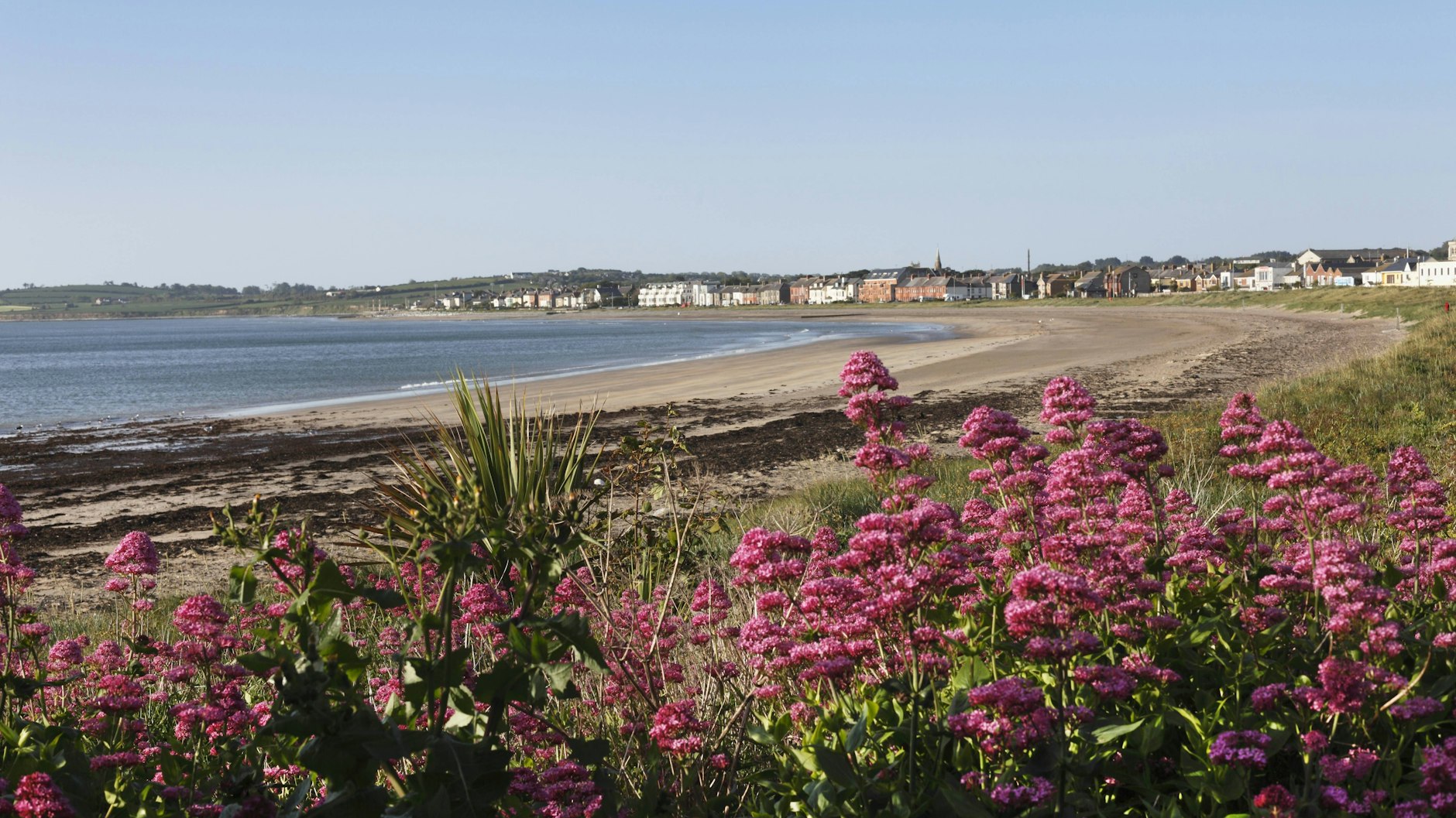 Eine Aufnahme von der westirischen Küste. Von hier stammt der Autor Sebastian Barry.&nbsp;