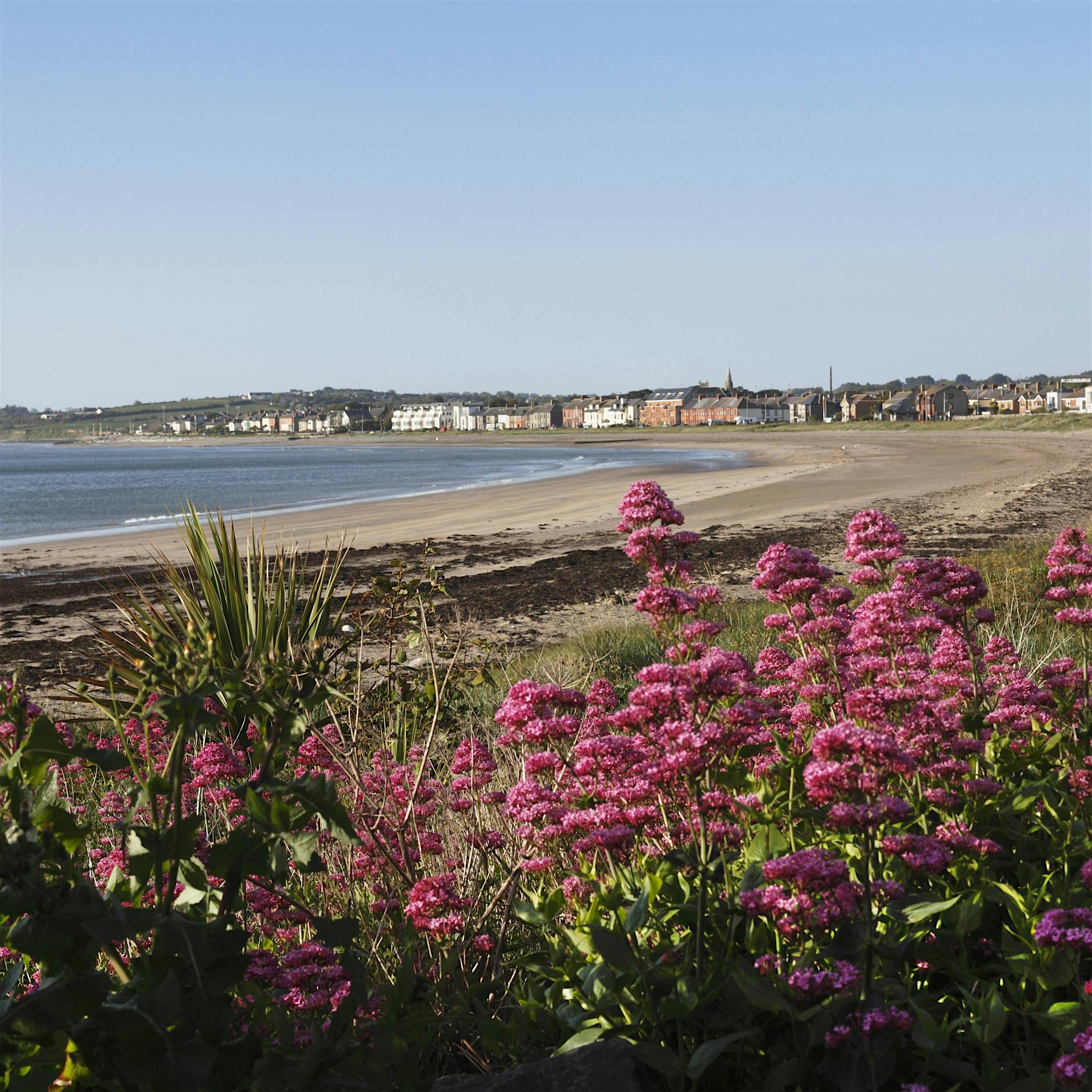 „Annie Dunne“: Glücklich wird sie nicht mehr werden