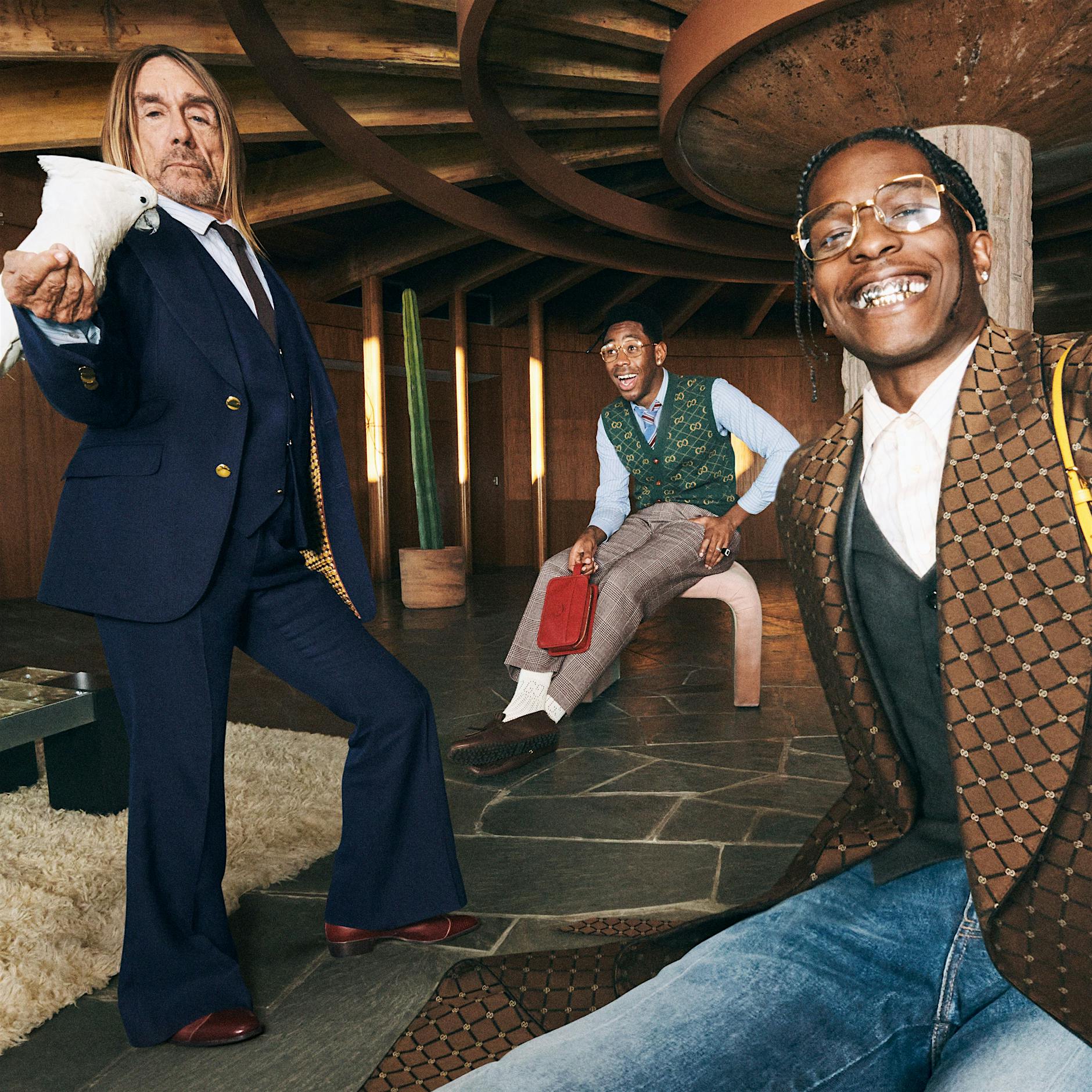 Iggy Pops Kakadu und Paris Hiltons Hunde: Wenn Tiere zu Instagram-Stars werden