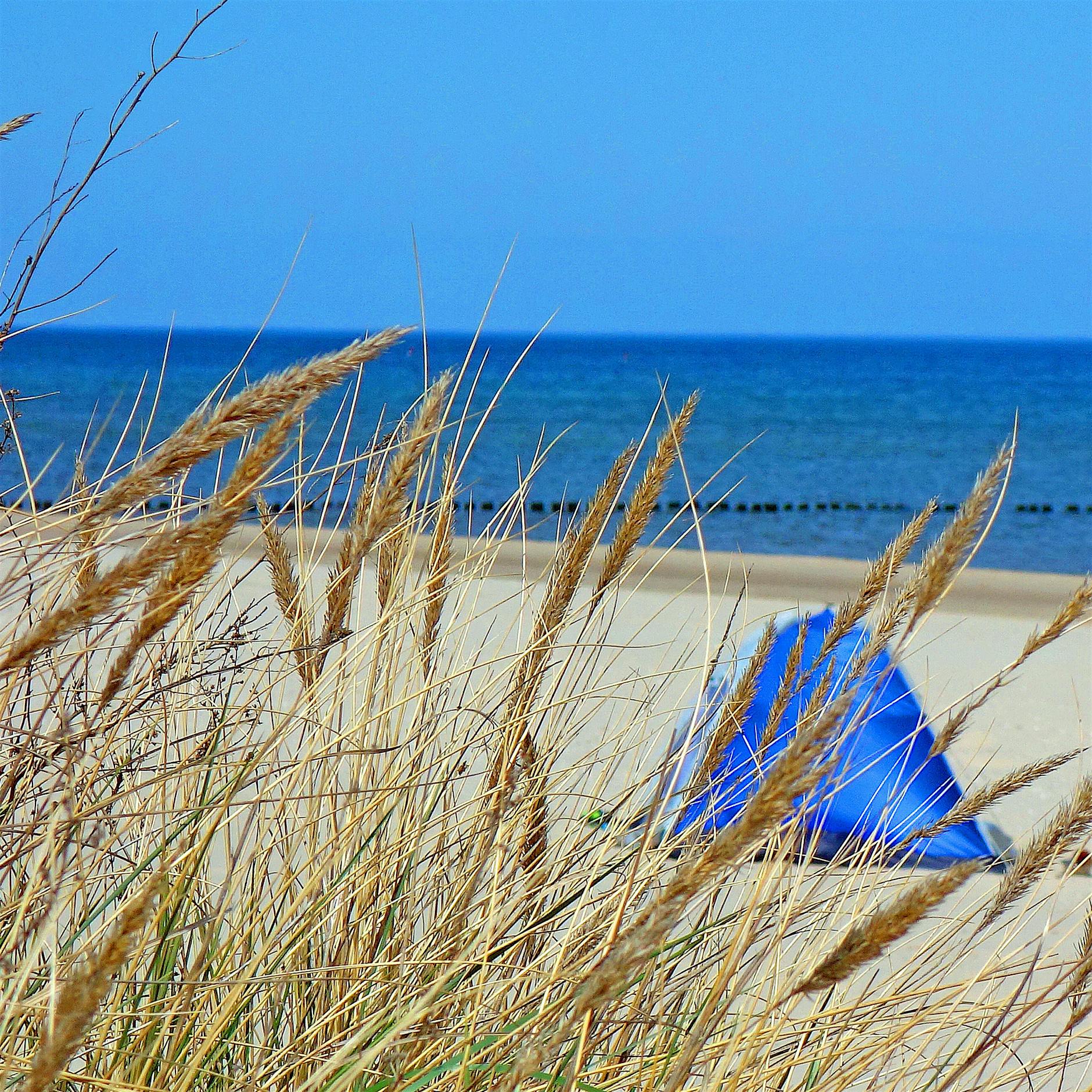 Ab Mitte Juni können Berliner wieder Urlaub an der Ostsee machen
