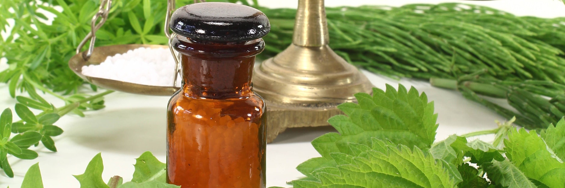 Brennnesseln und andere Heilpflanzen können Medikamente ersetzen.