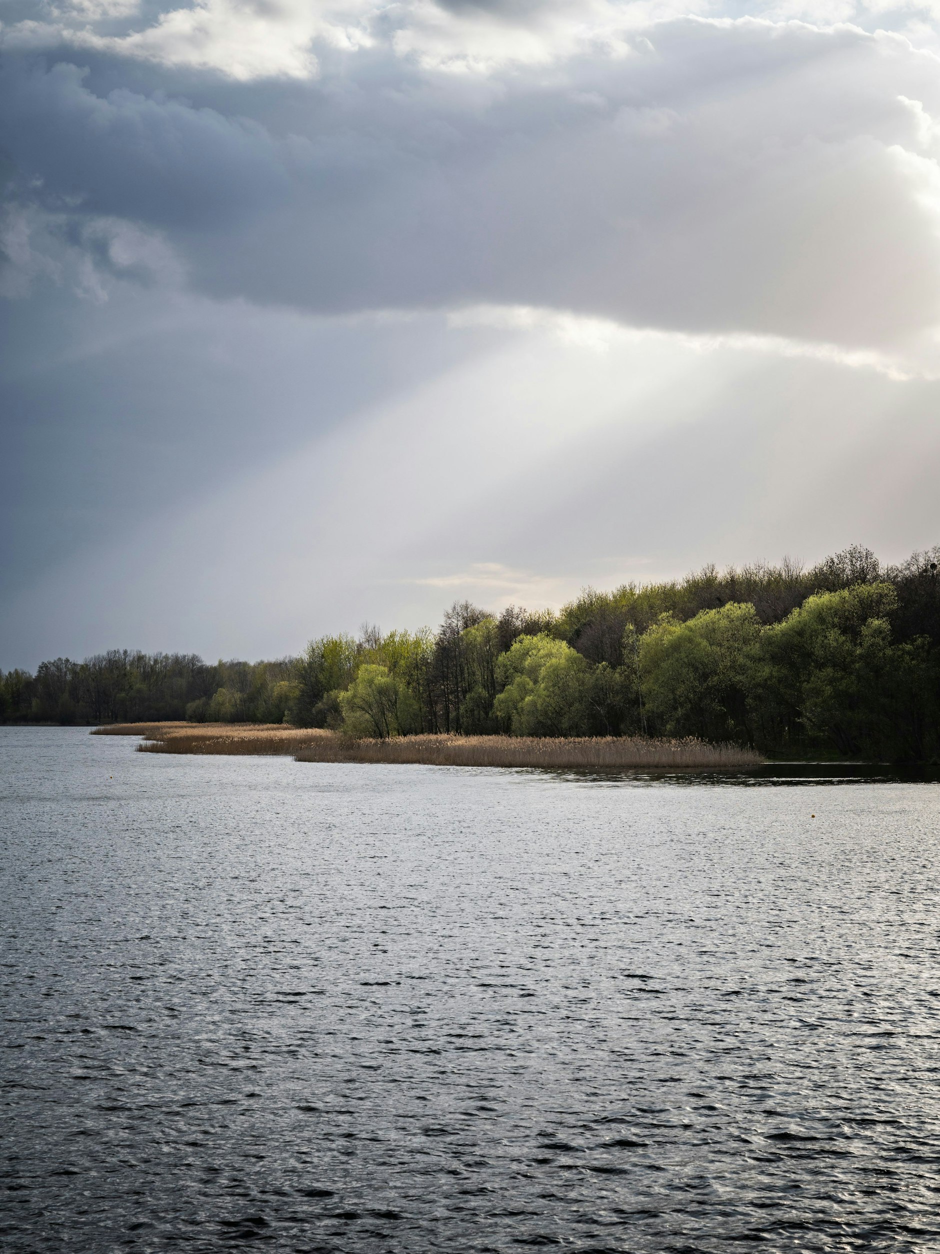 Der Senftenberger See.