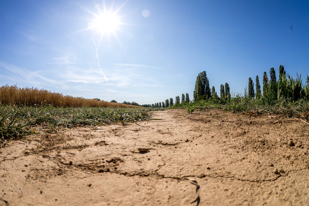 Klimawandel: So werden wir im Jahr 2050 leben