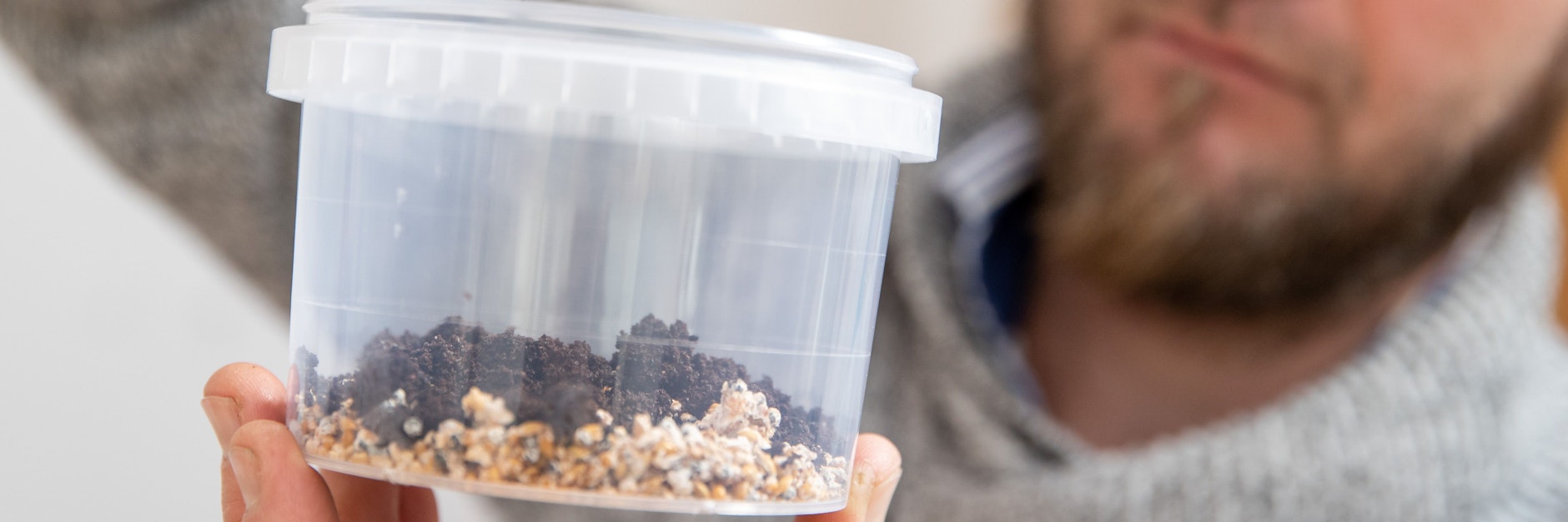 Ralph Haydl streut Kaffeesatz auf Pilzbrut in den Topf eines Pilzzuchtsets für Austernseitlinge.