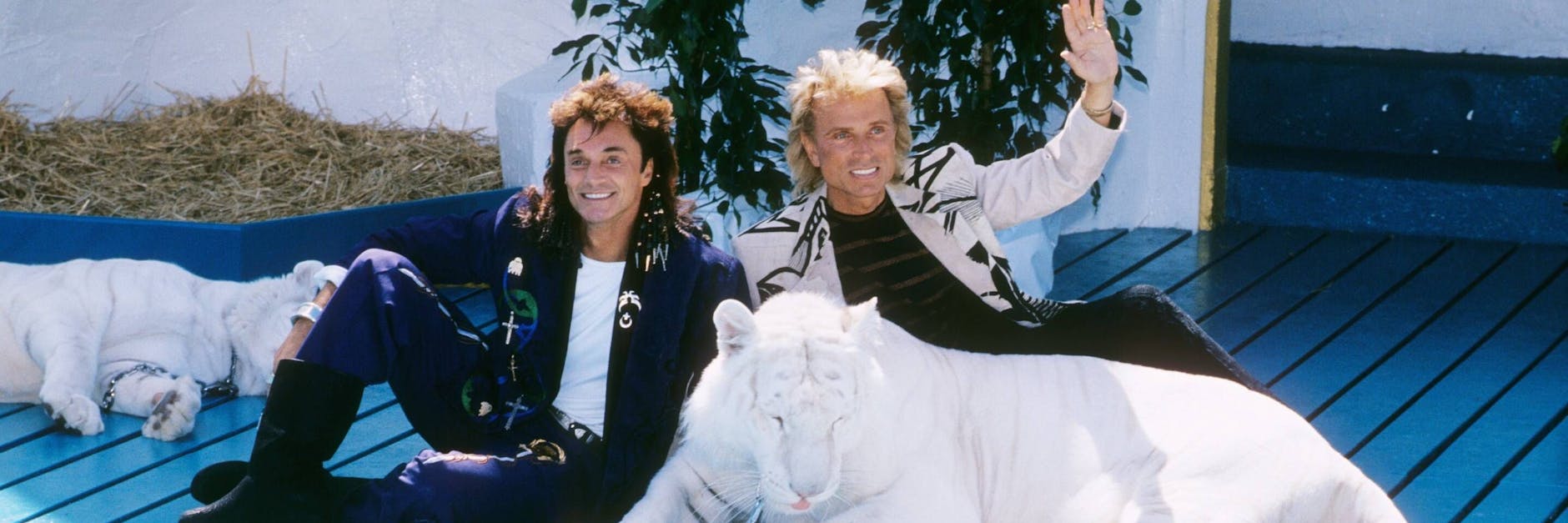 Siegfried & Roy mit ihren weißen Tigern