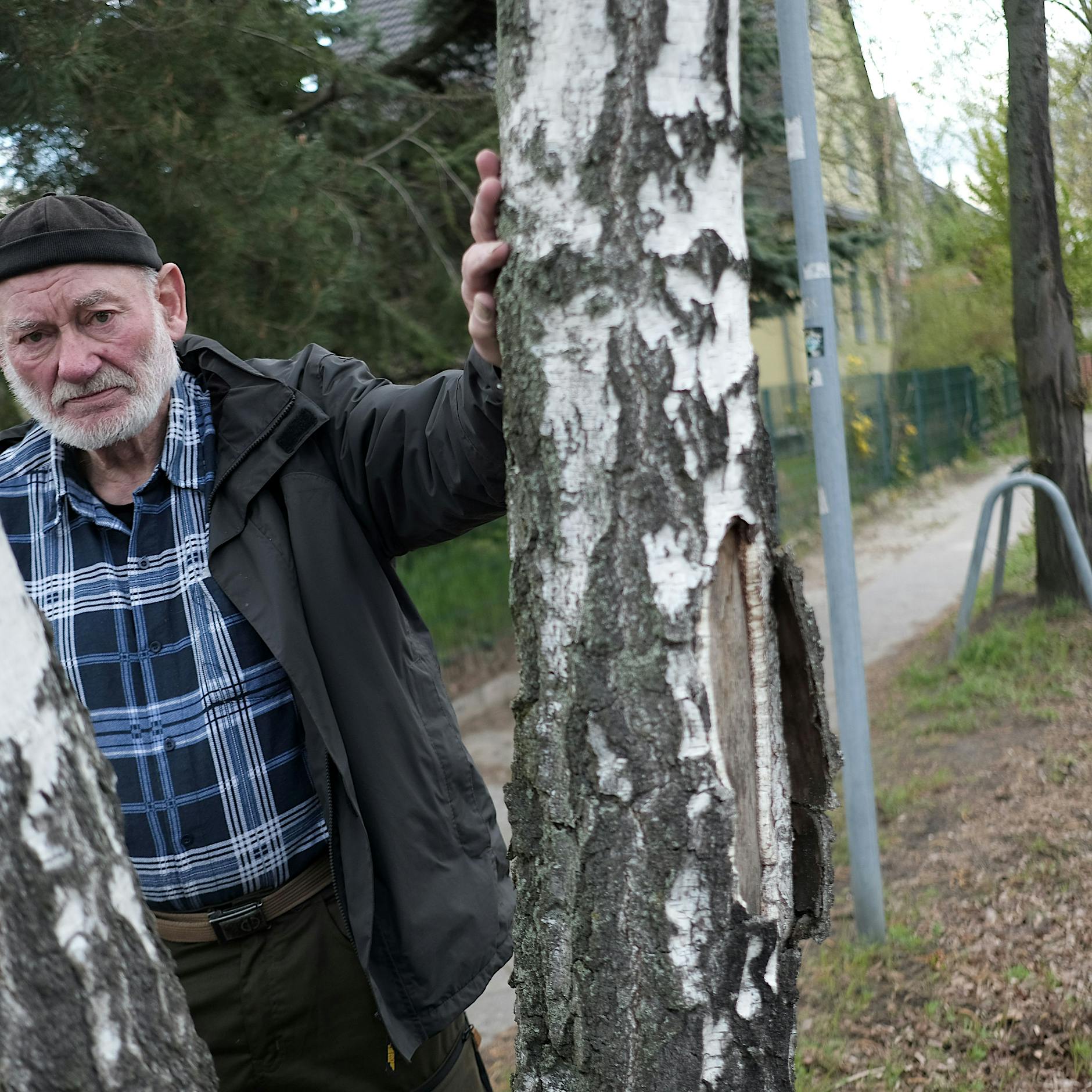 Herr Behrendt, das Laub und die „Anliegerpflicht“: Eine Berliner Amtsgeschichte