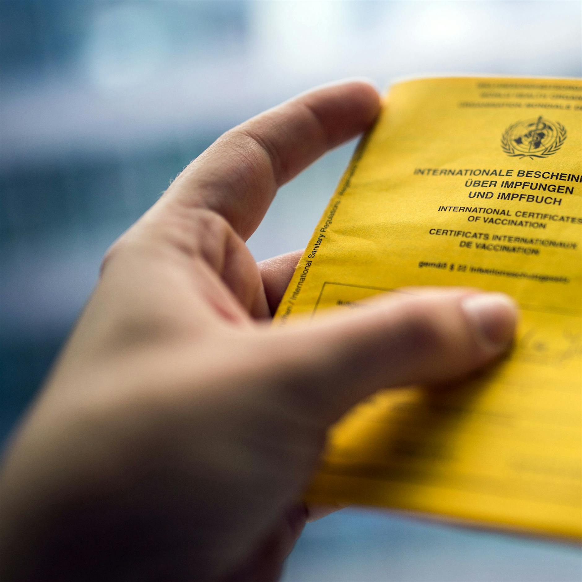 Gefälschte Impfpässe: Polizei fordert Zugang zu RKI-Impfdaten