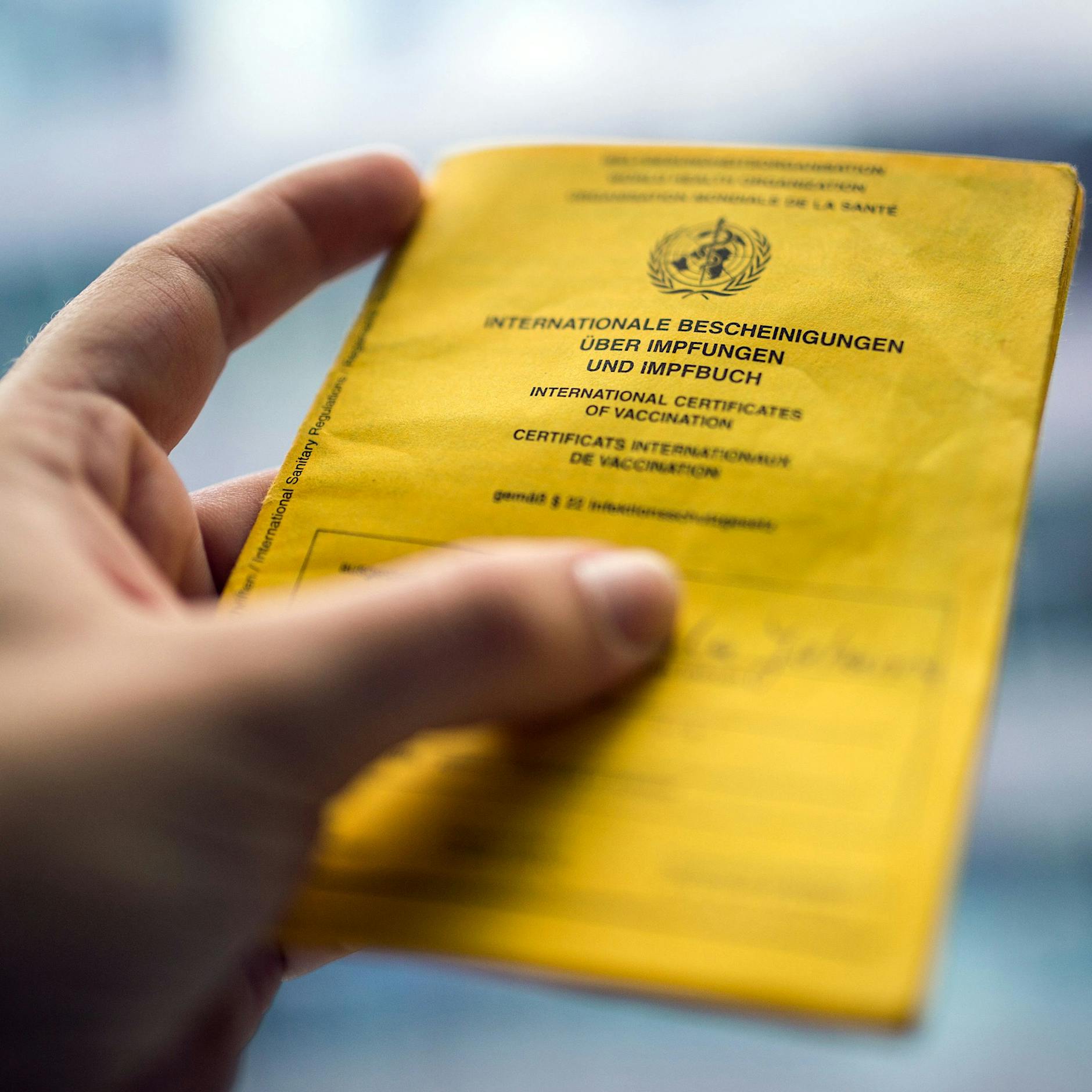 Fälschung von Impfausweisen: 28-Jähriger in Berlin freigesprochen – trotzdem Gefängnisstrafe