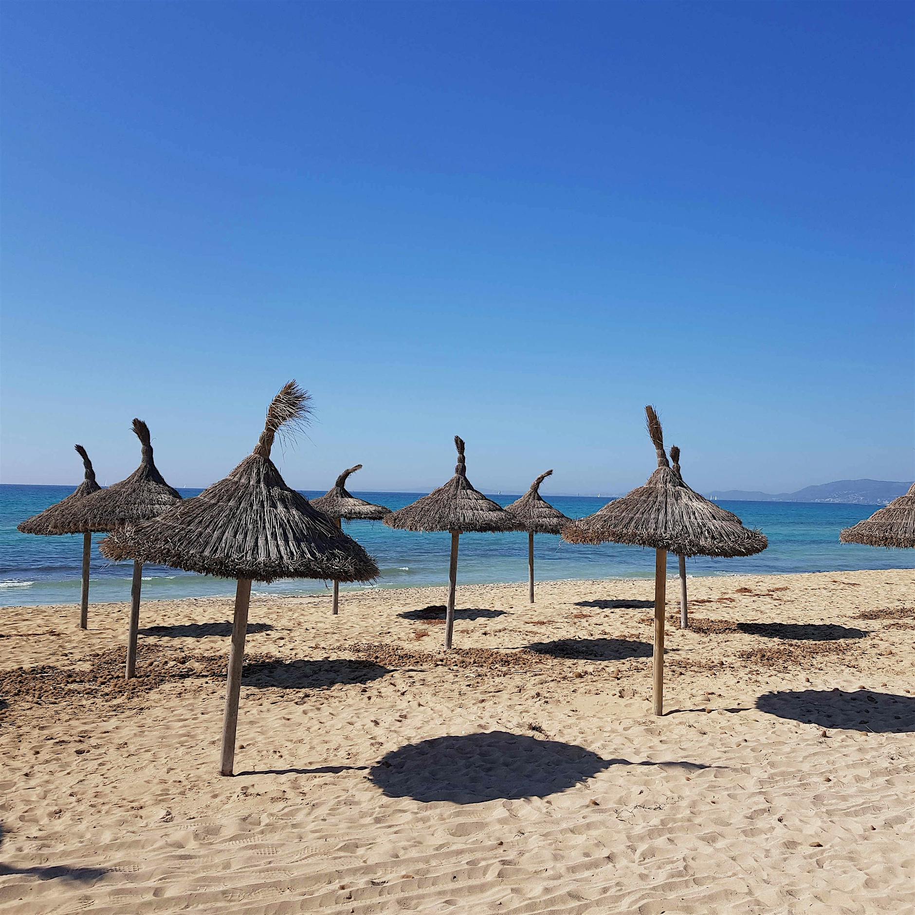 Balearen-Regierungschefin: Party-Sommer auf Mallorca fällt 2021 aus