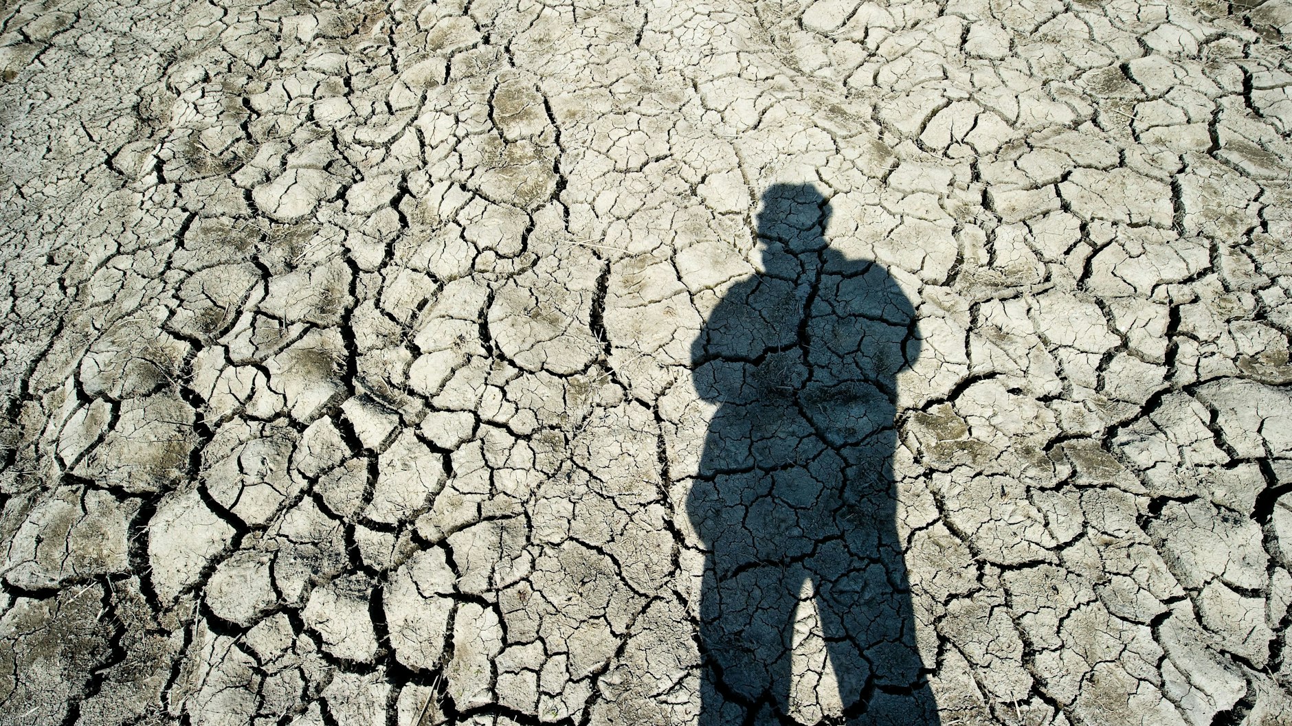 Ausgedörrter Ackerboden in der brandenburgischen Ortschaft Wriezen im Oderbruch Anfang Mai.