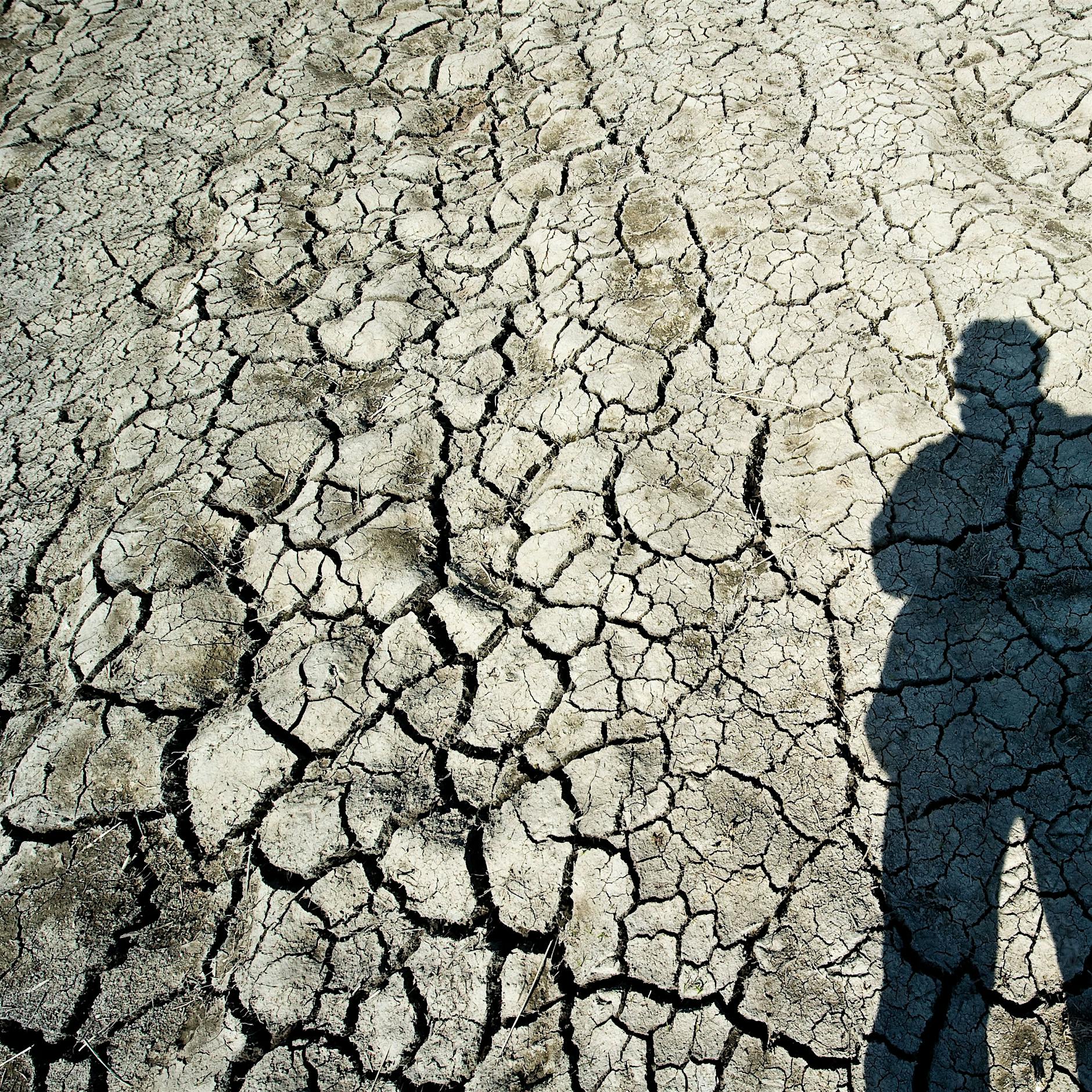 Mehr Lust auf Klimaschutz