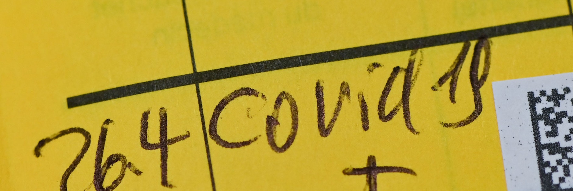 Die Immunität hält wahrscheinlich nach der zweiten Impfung für sechs Monate an.