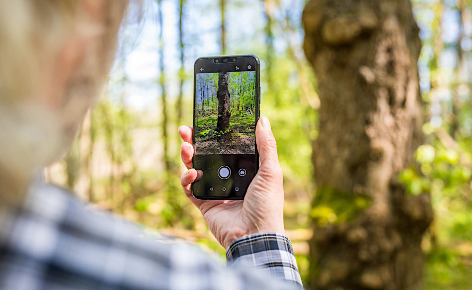 Rolf Jantz, der zu der Community der „Naturgucker“ gehört, fotografiert mit einer App auf seinem Smartphone einen Baumstamm im Landkreis Celle, um den Baum zu bestimmen.&nbsp;