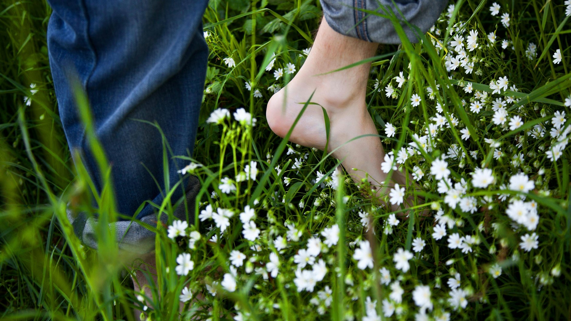 Die milderen Temperaturen im Winter sorgen dafür, dass die Zecken immer früher aktiv werden und sich ihre Saison verlängert.