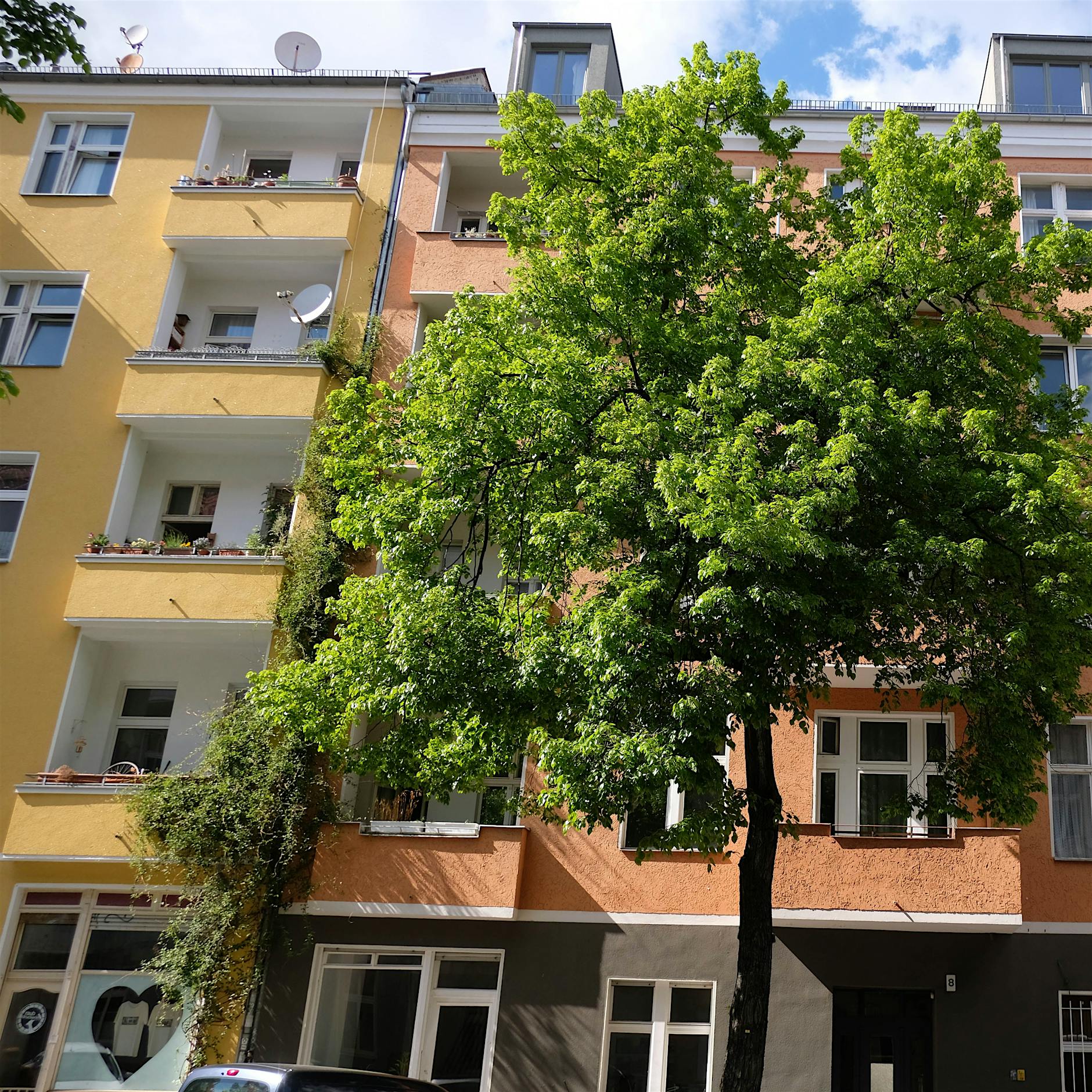 Neukölln lässt sich von Immobilienverkäufer nicht austricksen