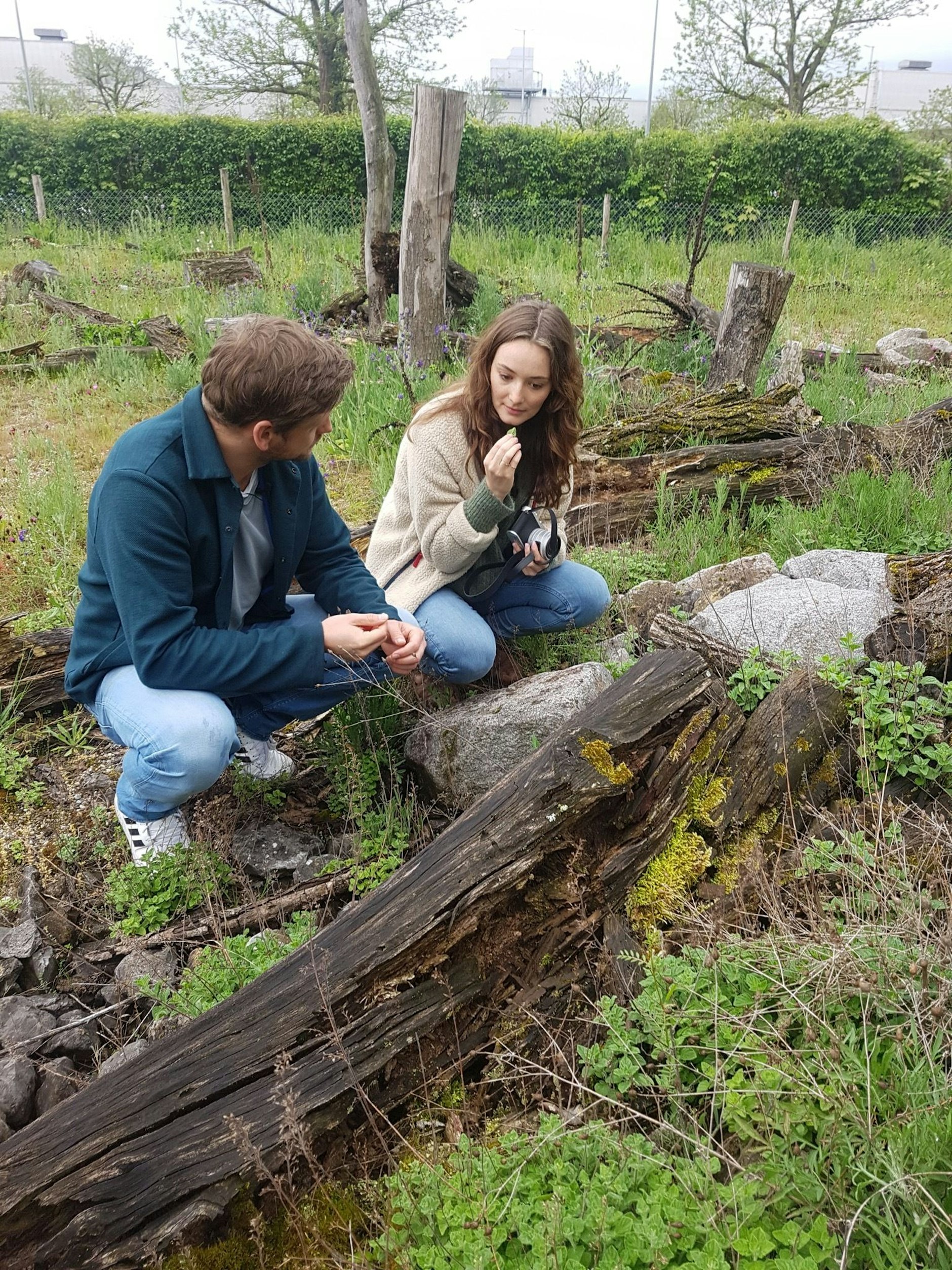 Die Schauspieler Maria Ehrich und Steve Windolf besuchten anlässlich des Internationalen Tages der Biodiversität die preisgekrönte Artenschutzfläche in Gaggenau.